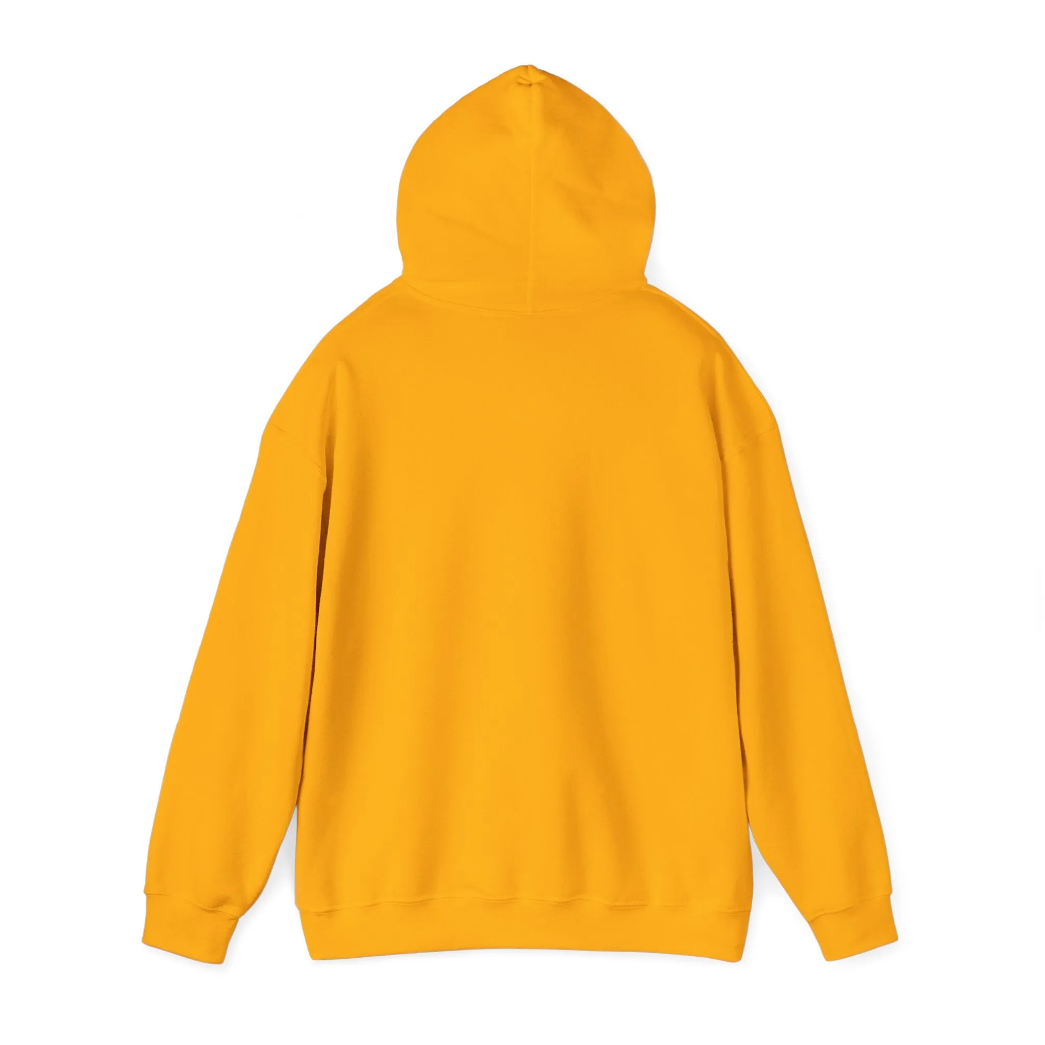 Angry Teddy Bear Hoodie