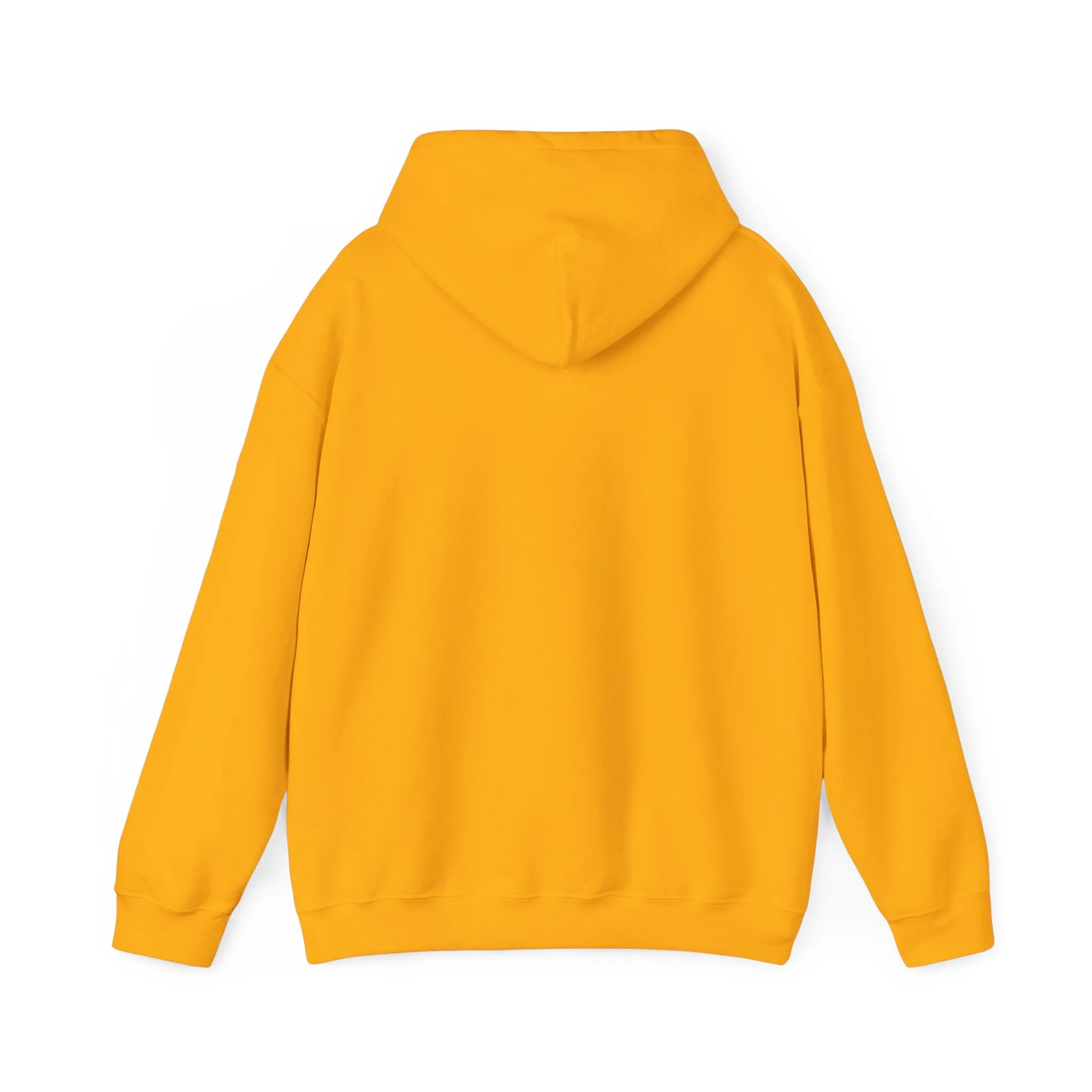 Angry Teddy Bear Hoodie