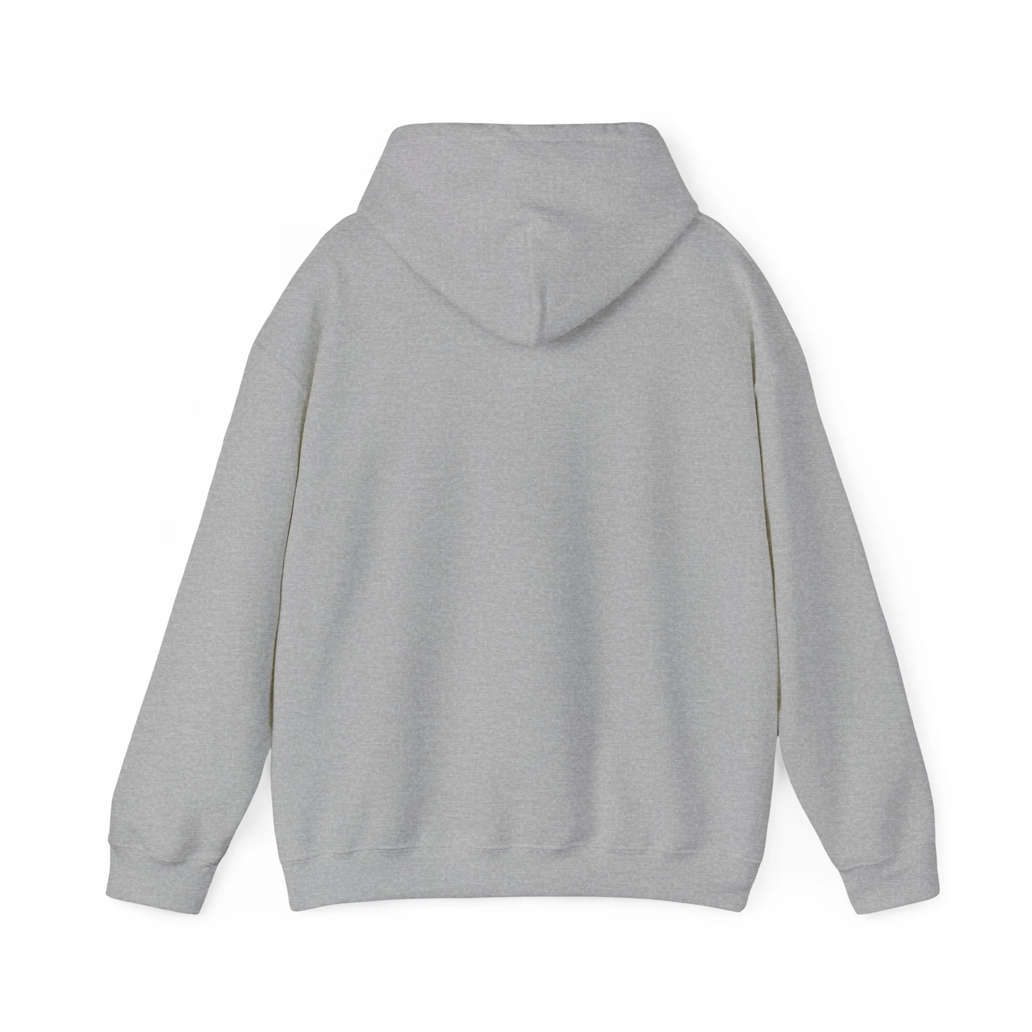 Angry Teddy Bear Hoodie
