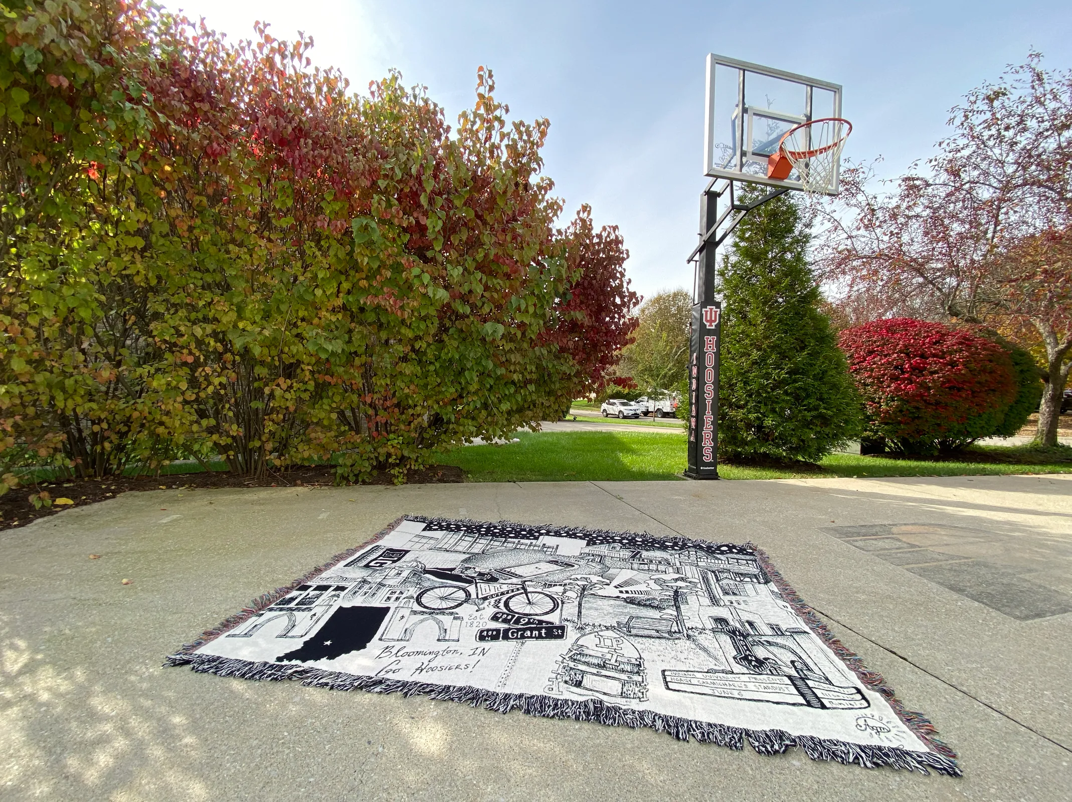 B&W Bloomington Blanket 60"x80"