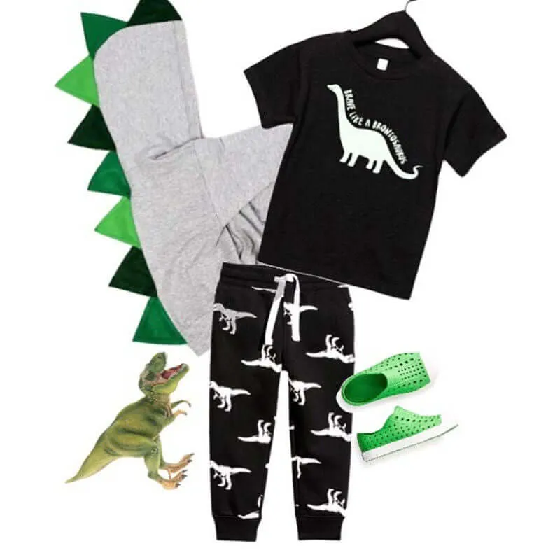 Boy Set 6M-5Y Dinosaur Kid  T-shirt & Pants  Outfit