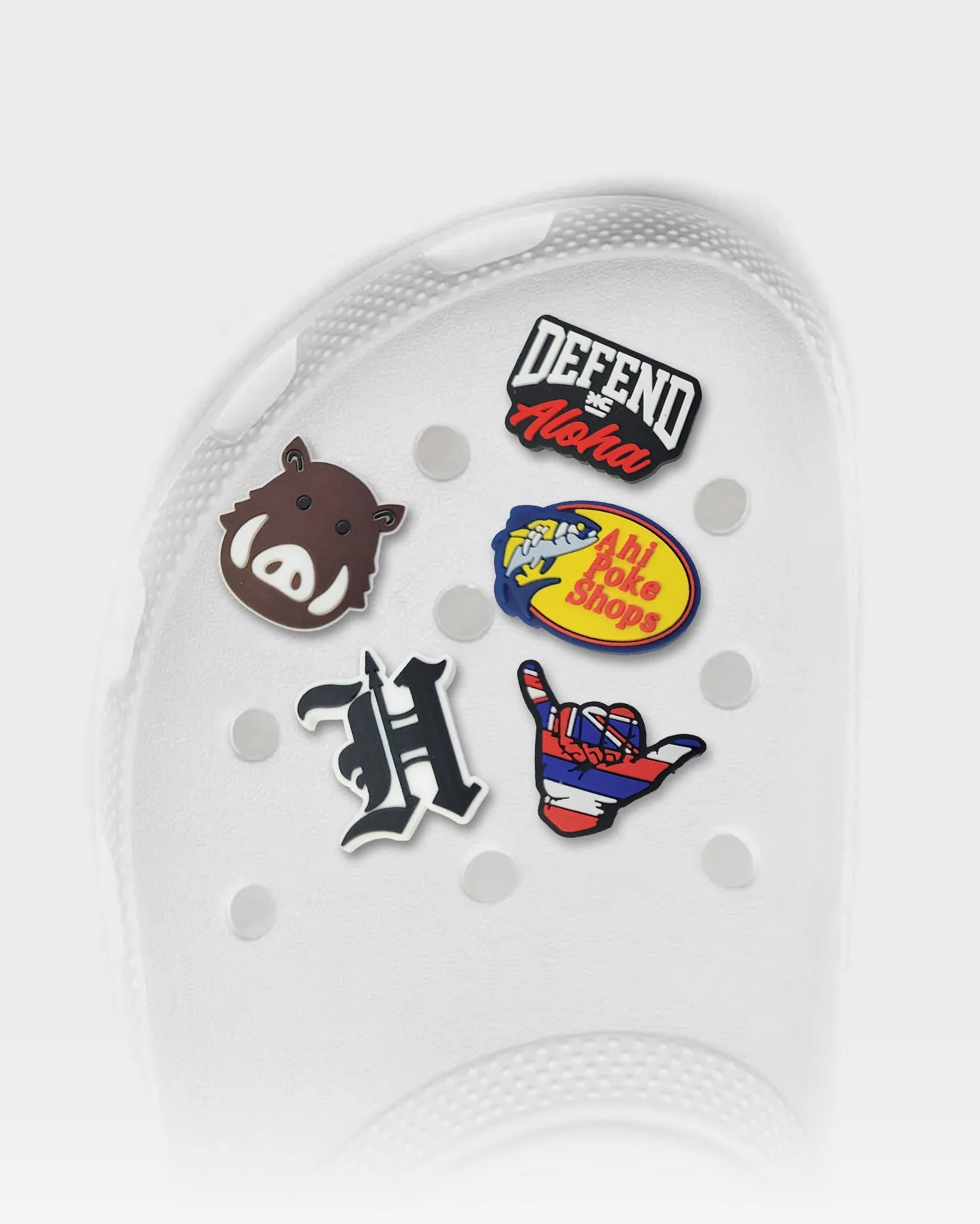 DEFEND HAWAI'I SHOE CHARMS