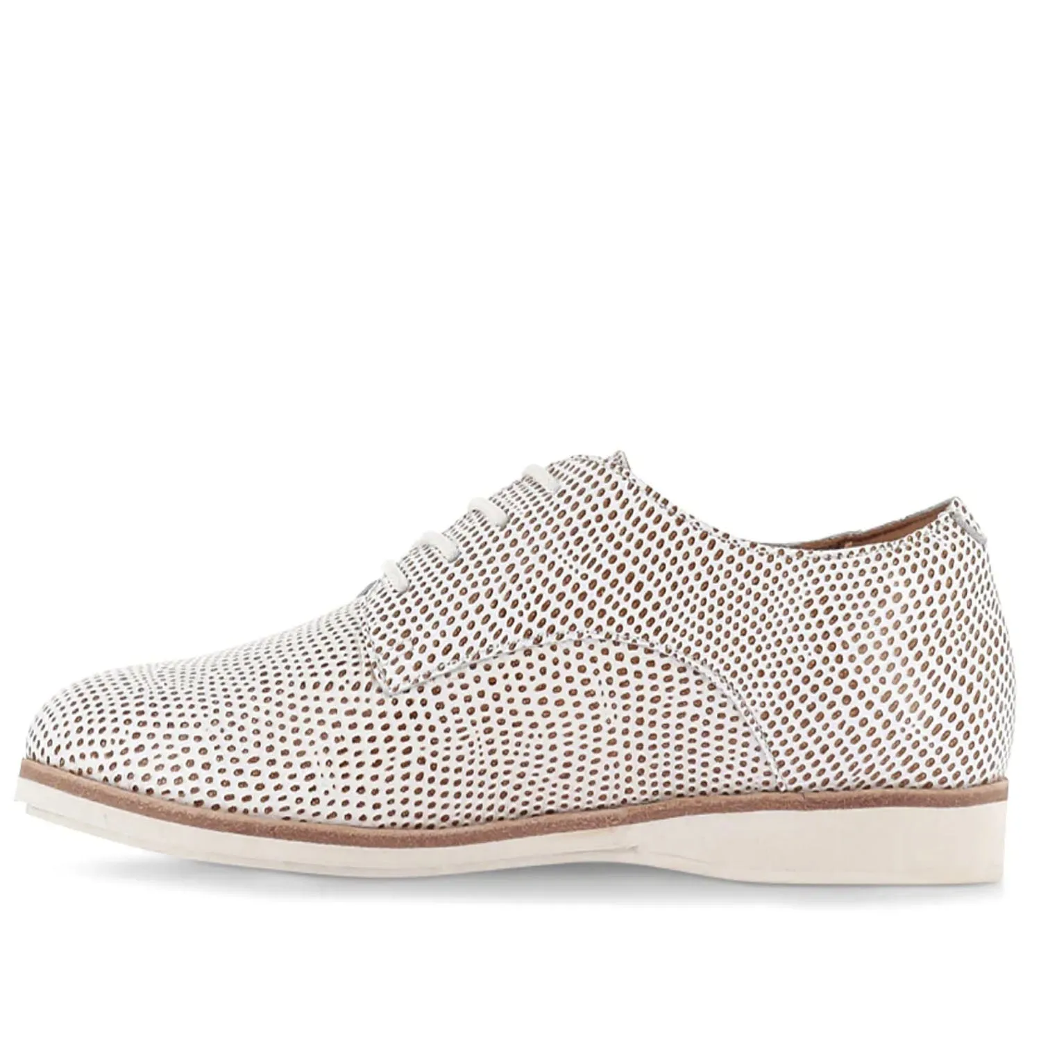 Derby Snake Shoe - RO11