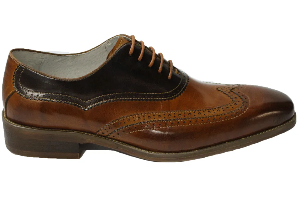 Giovanni Cyprus Tan & Chocolate Brown Wingtip Oxford