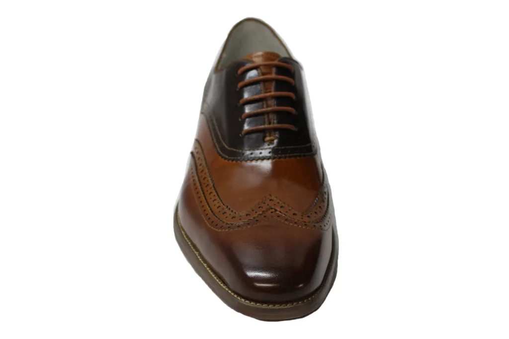 Giovanni Cyprus Tan & Chocolate Brown Wingtip Oxford