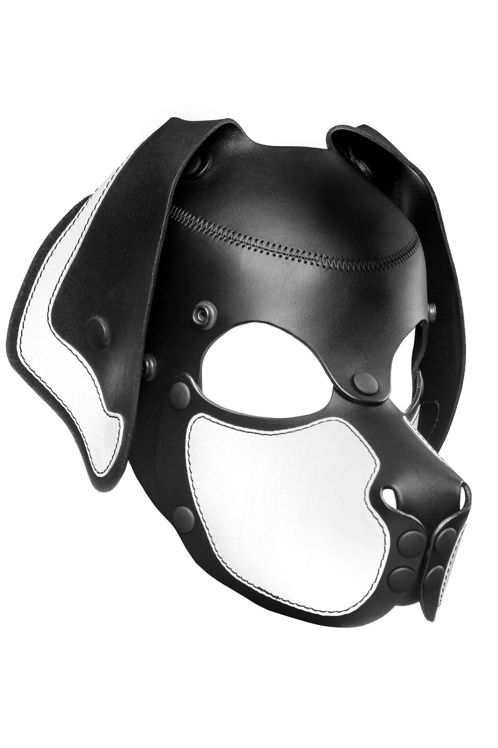 HEAD HARNESS PUP "RANGER" - White & Black