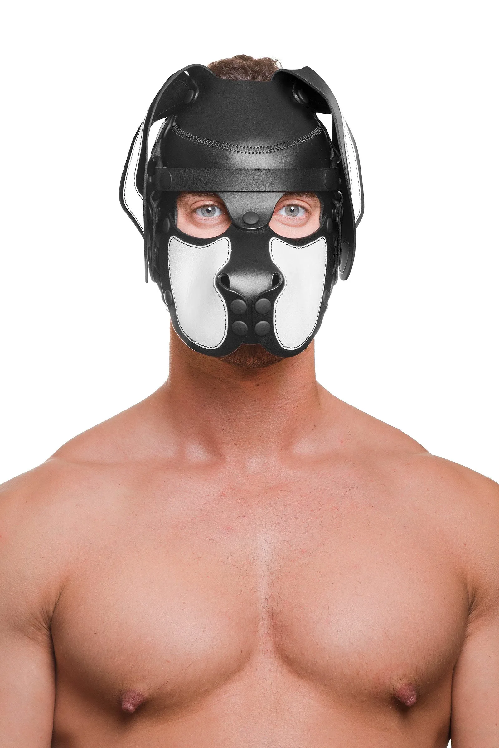 HEAD HARNESS PUP "RANGER" - White & Black