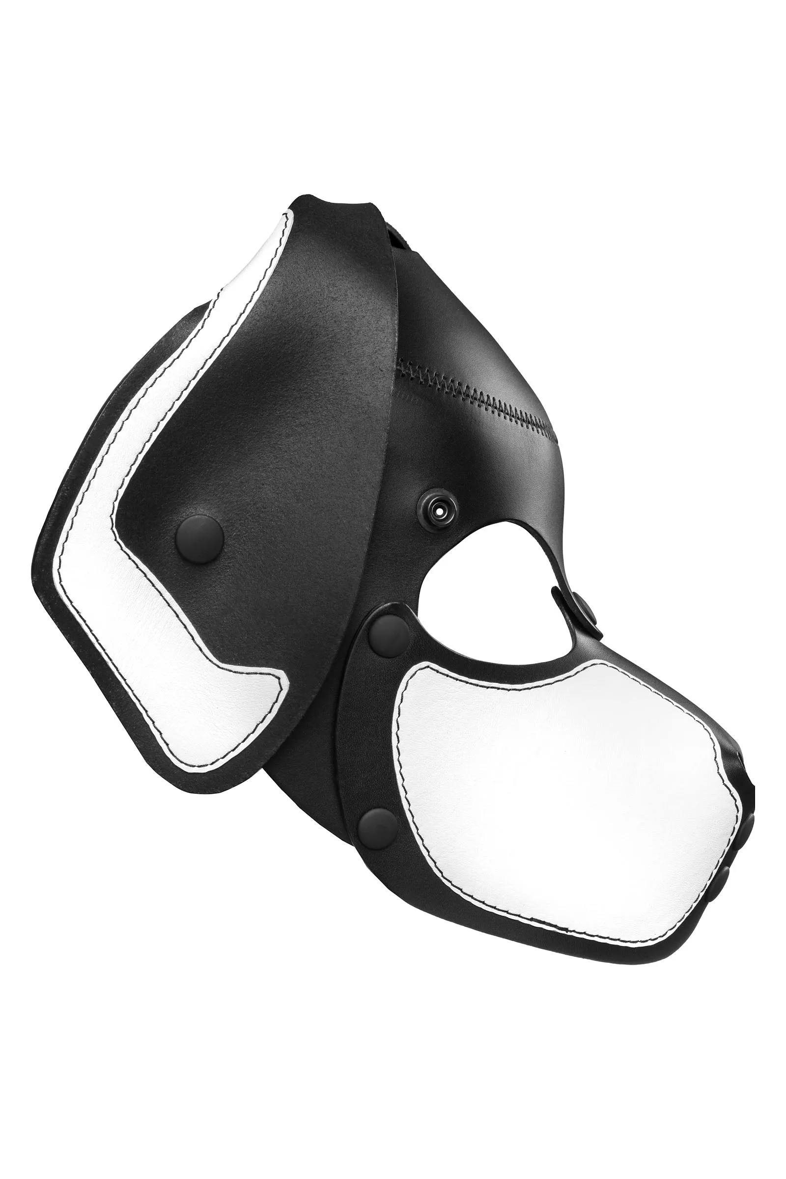 HEAD HARNESS PUP "RANGER" - White & Black