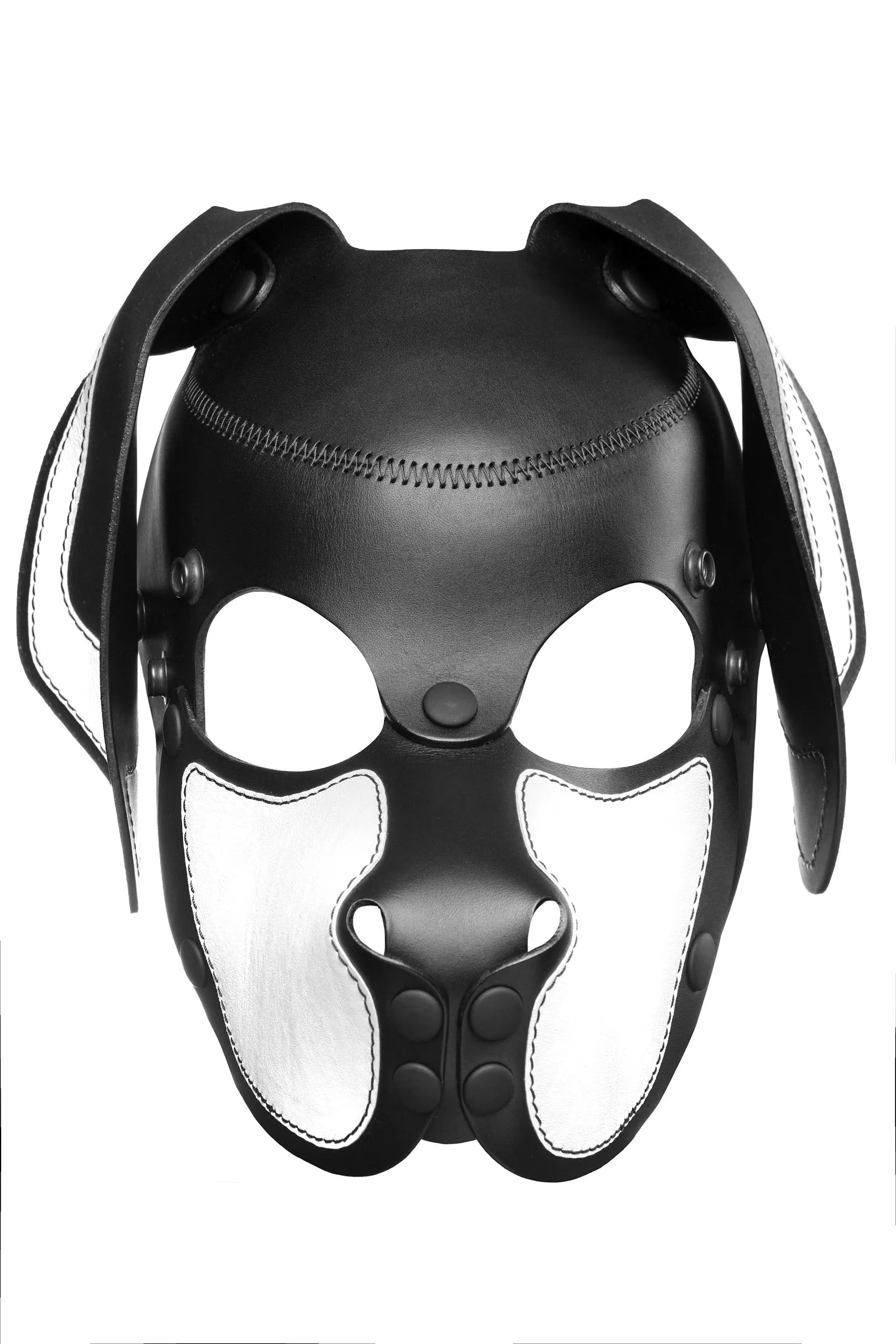 HEAD HARNESS PUP "RANGER" - White & Black