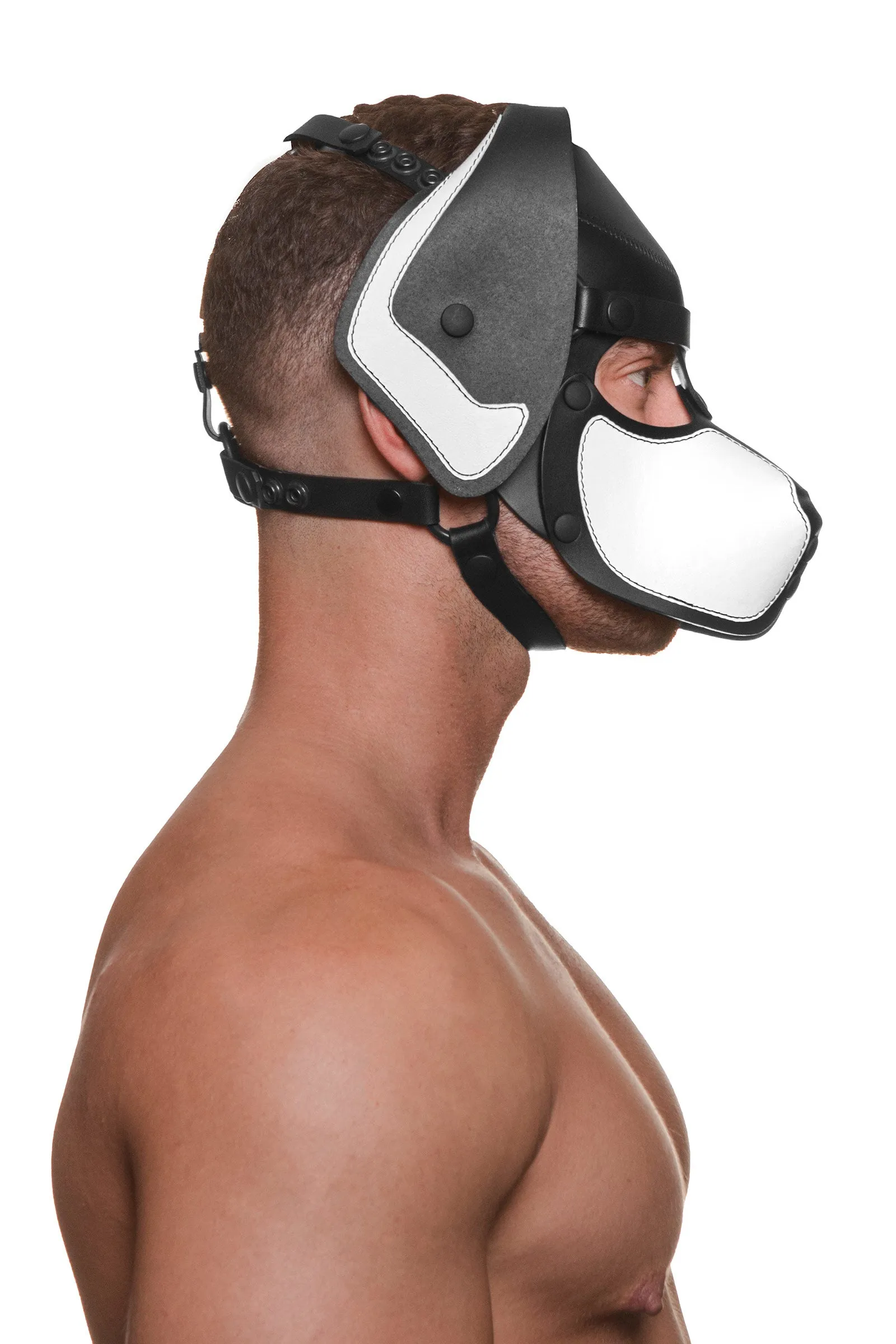 HEAD HARNESS PUP "RANGER" - White & Black