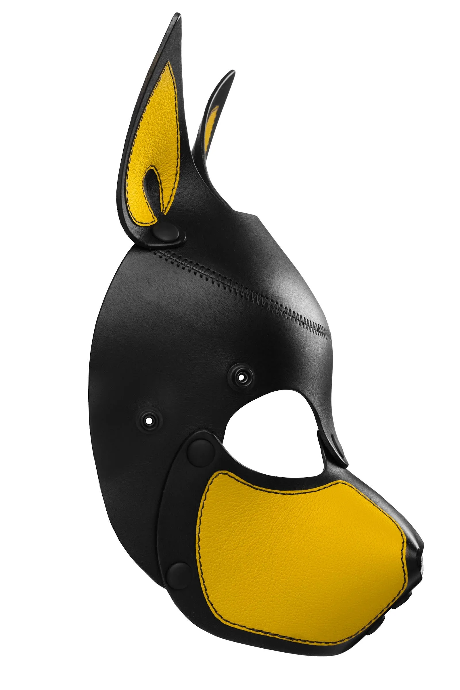 HEAD HARNESS PUP "SCOUT" - Colour