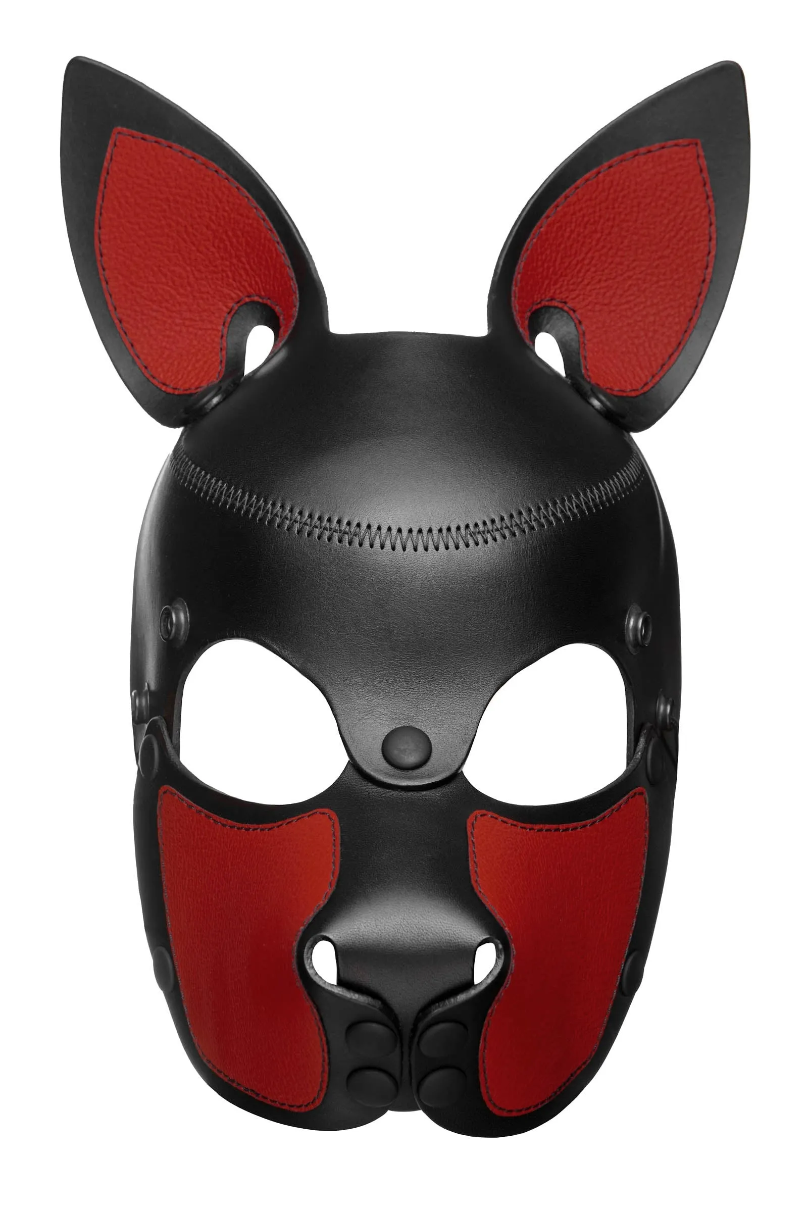HEAD HARNESS PUP "SCOUT" - Colour