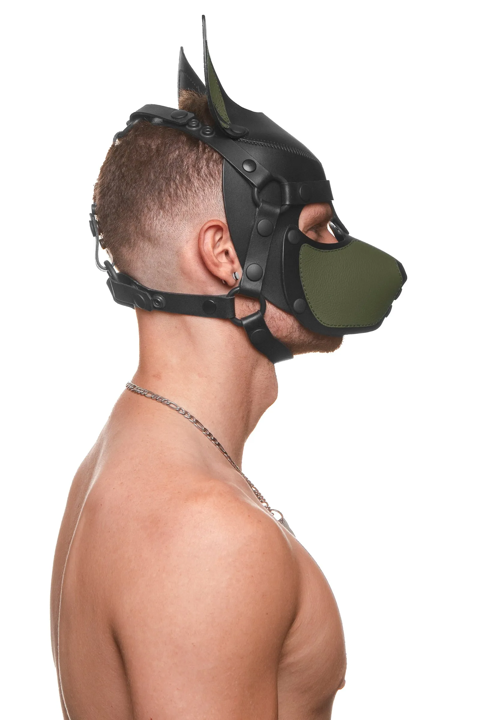 HEAD HARNESS PUP "SCOUT" - Colour