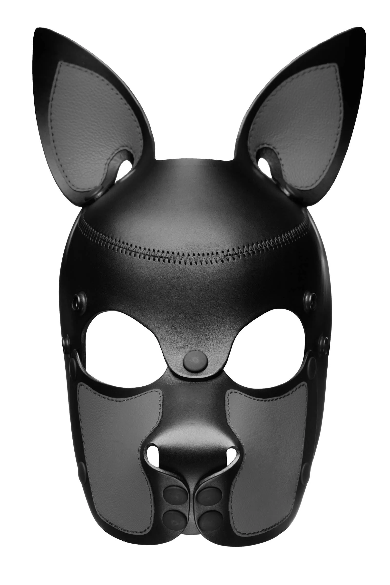 HEAD HARNESS PUP "SCOUT" - Colour