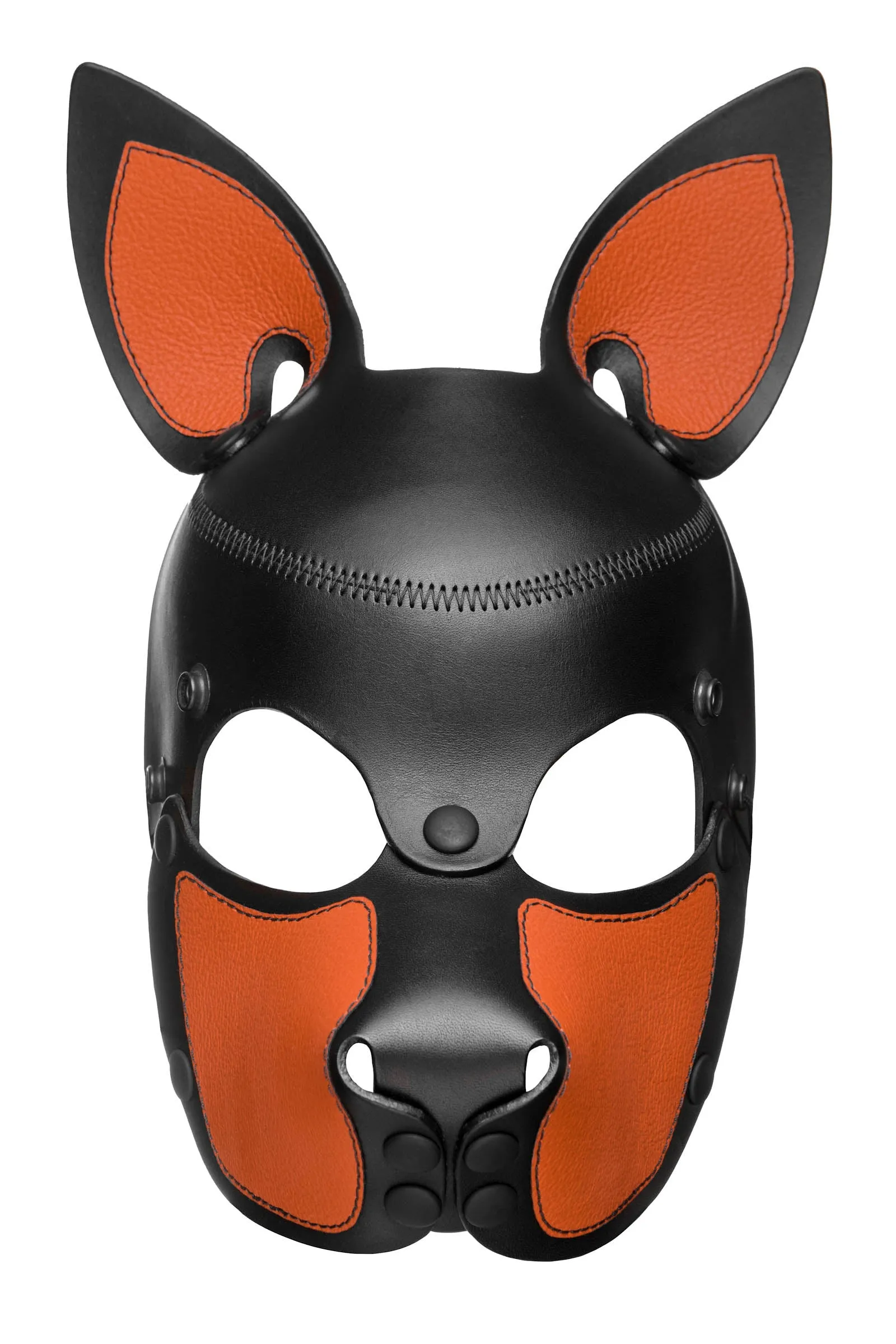 HEAD HARNESS PUP "SCOUT" - Colour