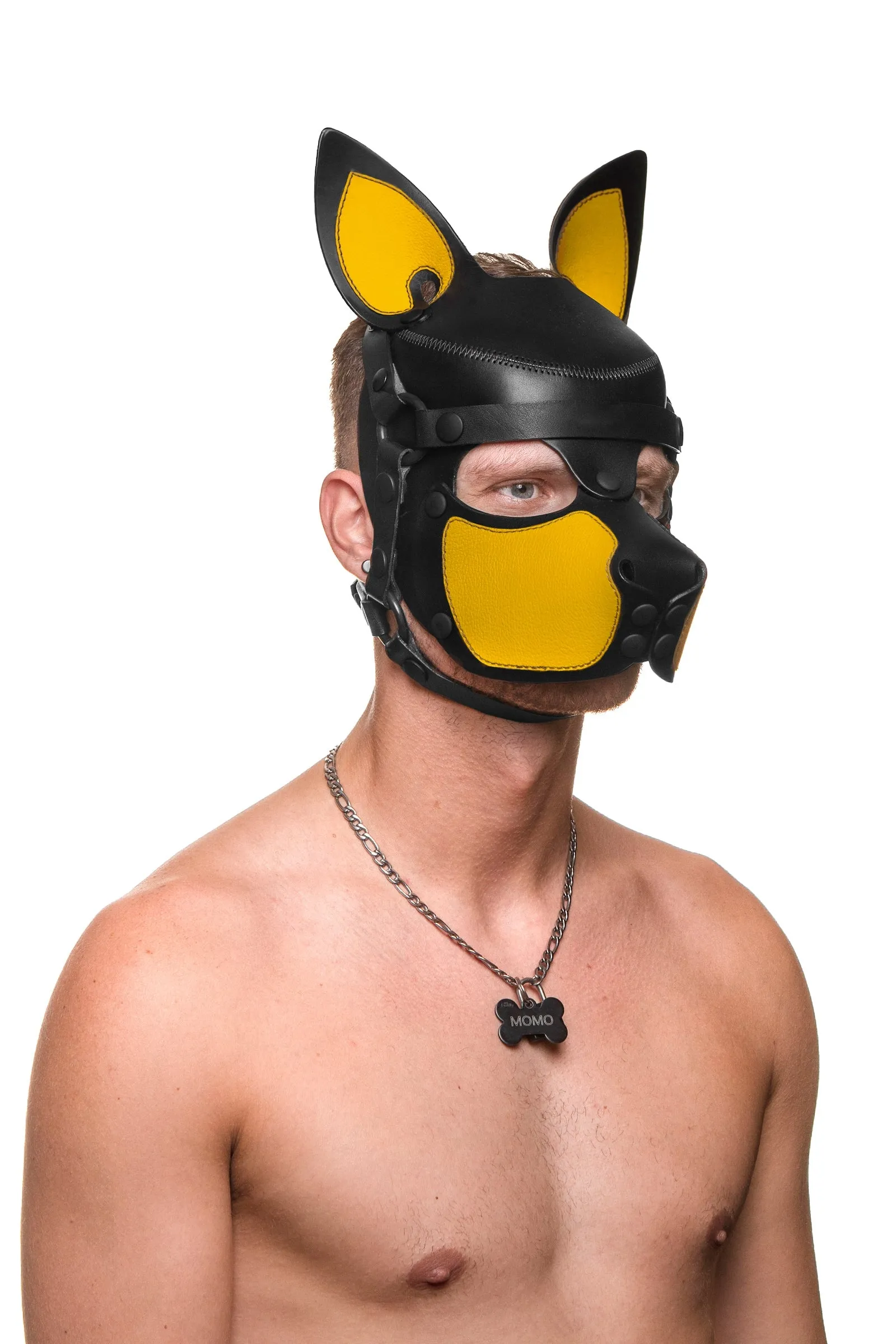 HEAD HARNESS PUP "SCOUT" - Colour