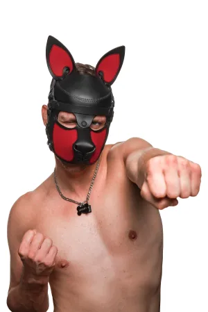 HEAD HARNESS PUP "SCOUT" - Colour