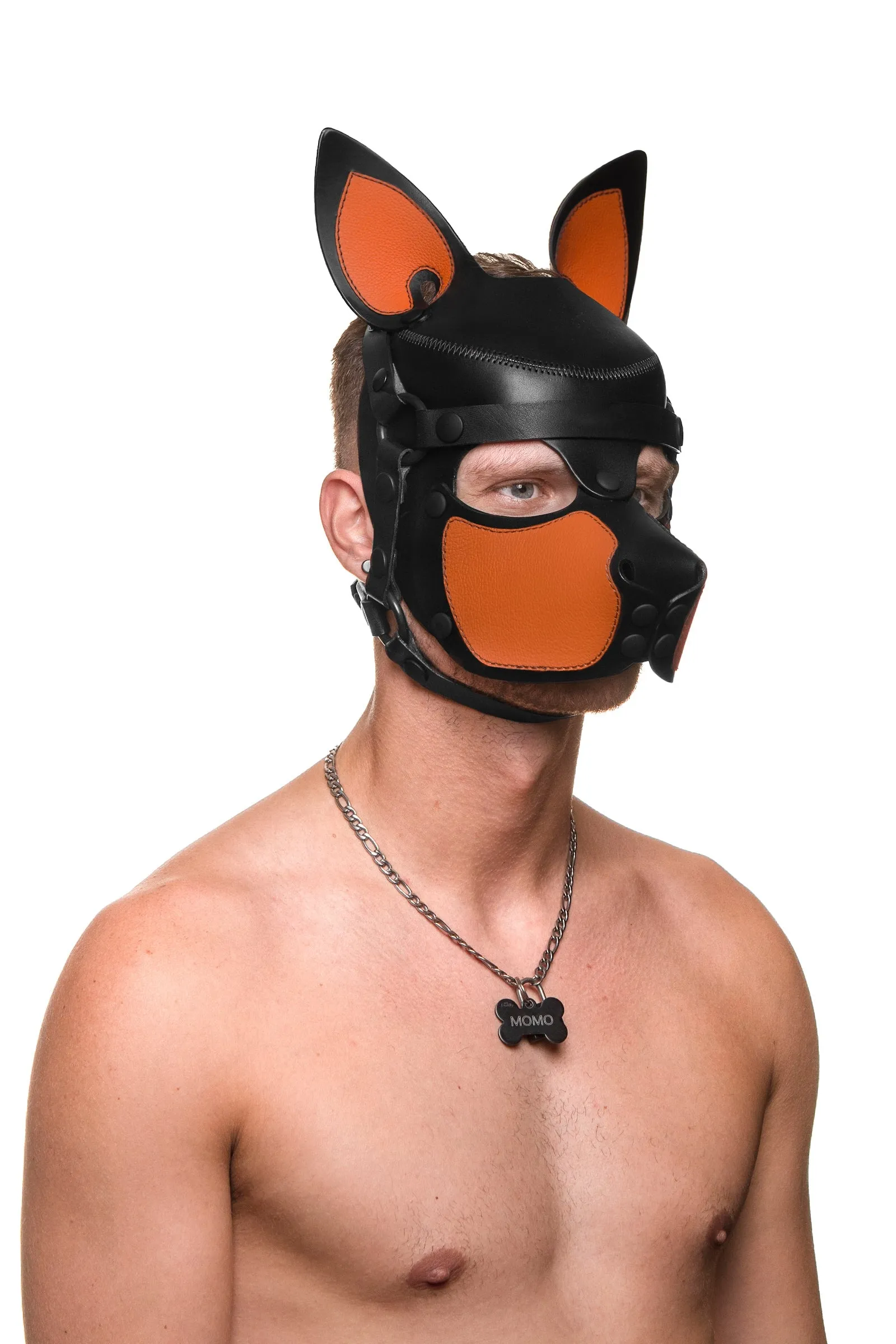 HEAD HARNESS PUP "SCOUT" - Colour