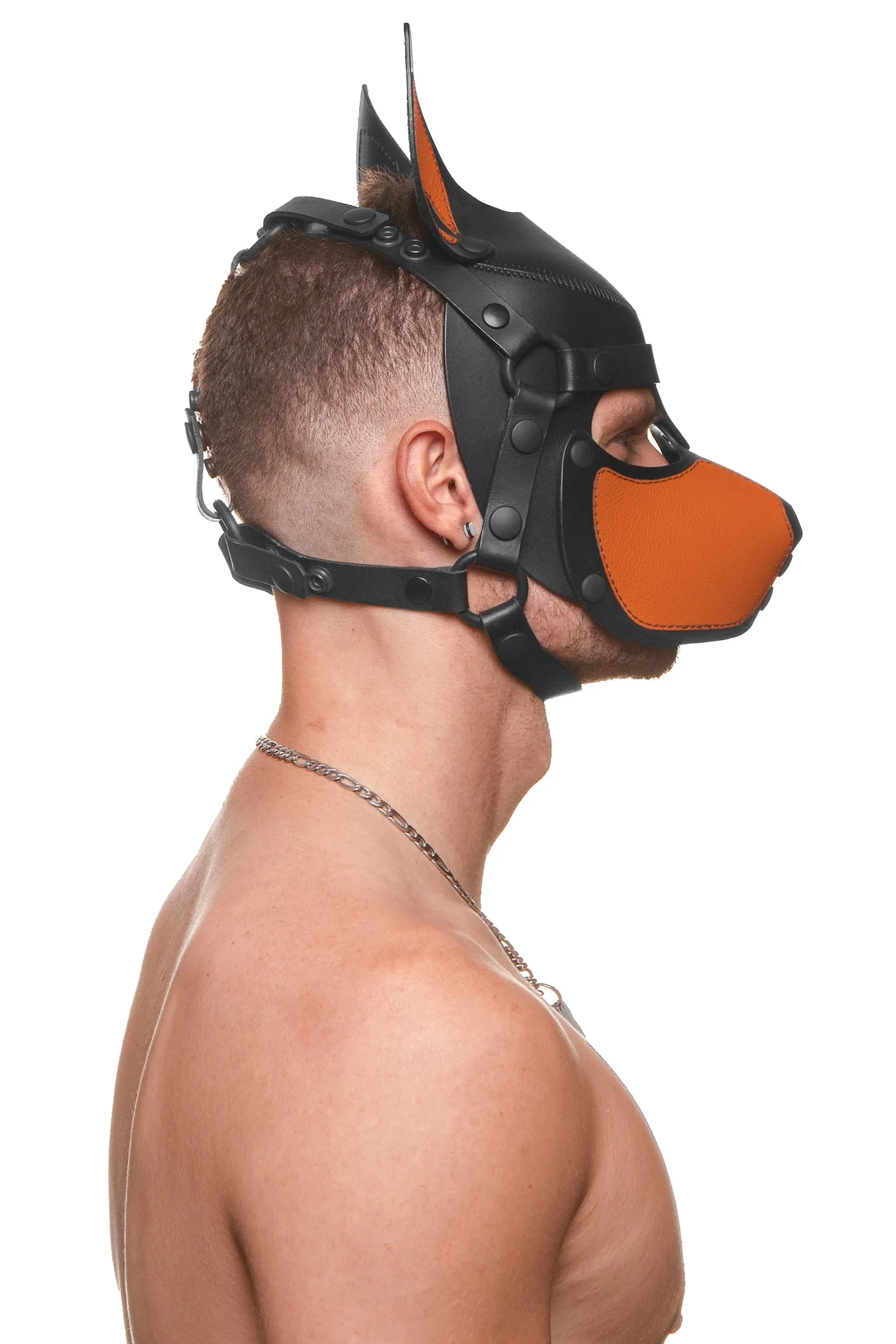 HEAD HARNESS PUP "SCOUT" - Colour