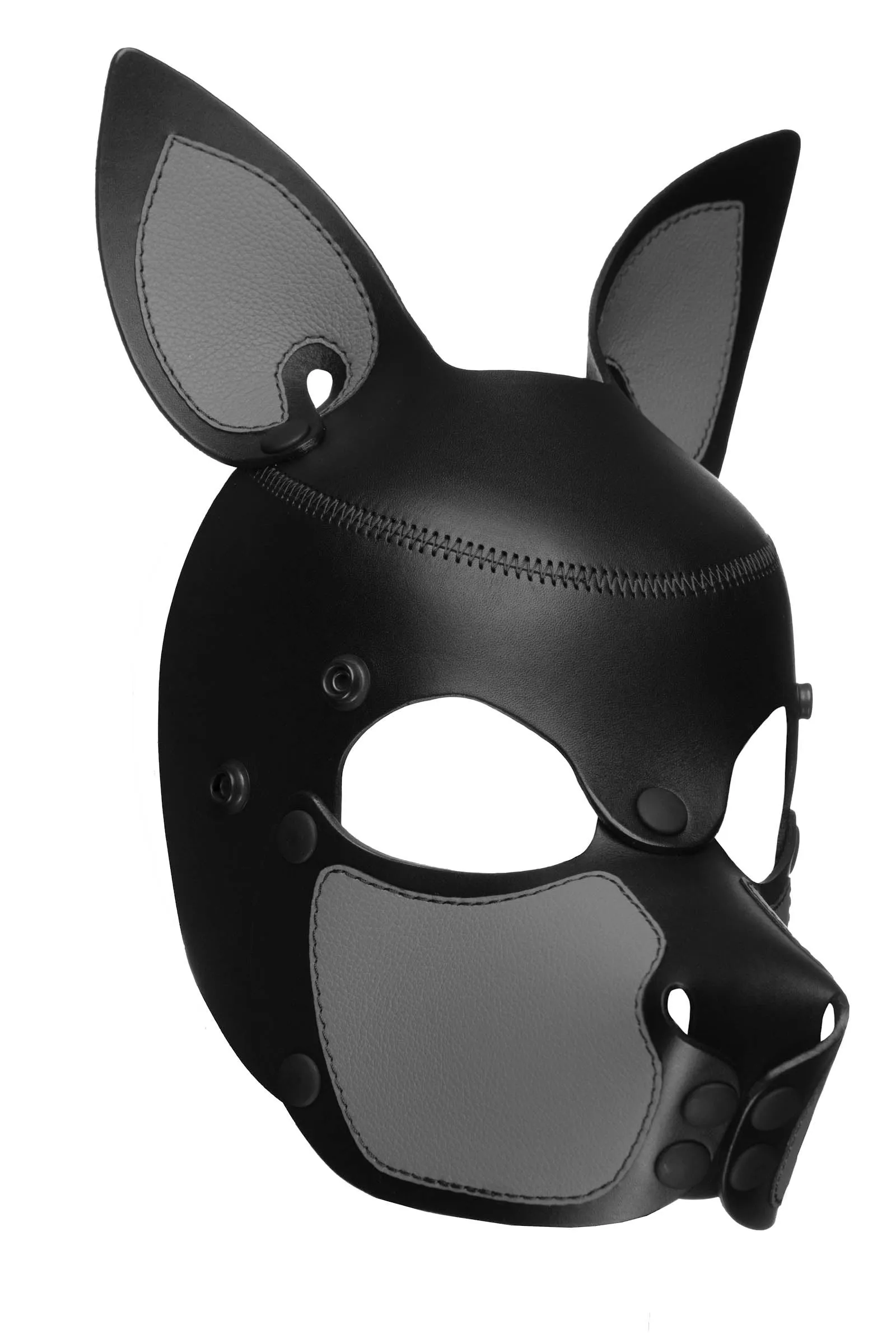 HEAD HARNESS PUP "SCOUT" - Colour