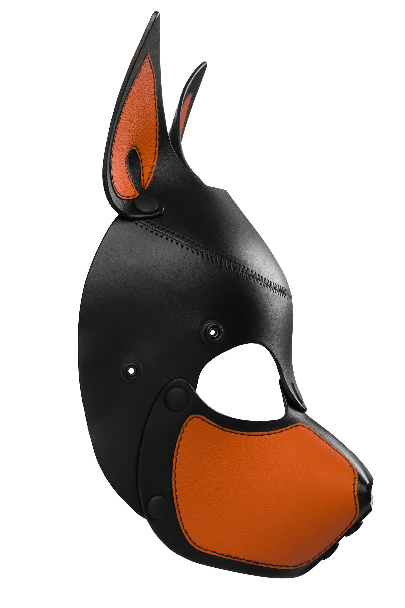 HEAD HARNESS PUP "SCOUT" - Colour