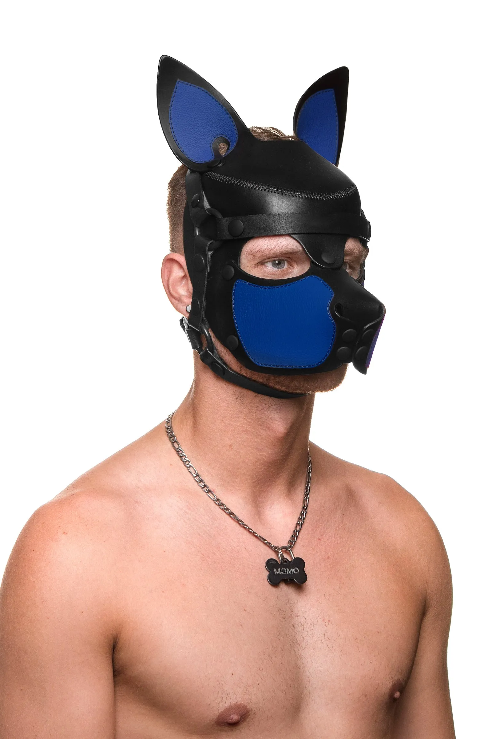 HEAD HARNESS PUP "SCOUT" - Colour