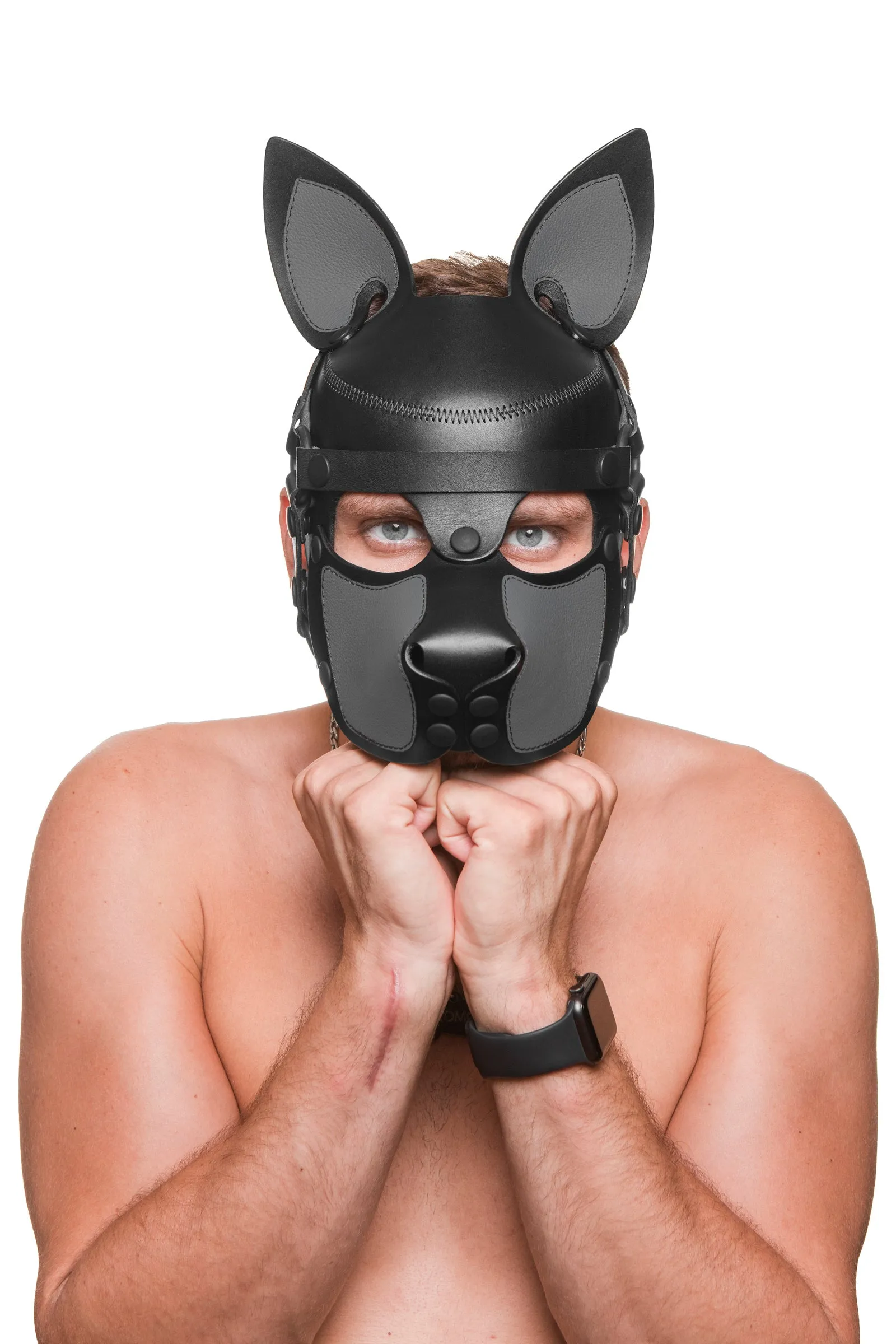 HEAD HARNESS PUP "SCOUT" - Colour