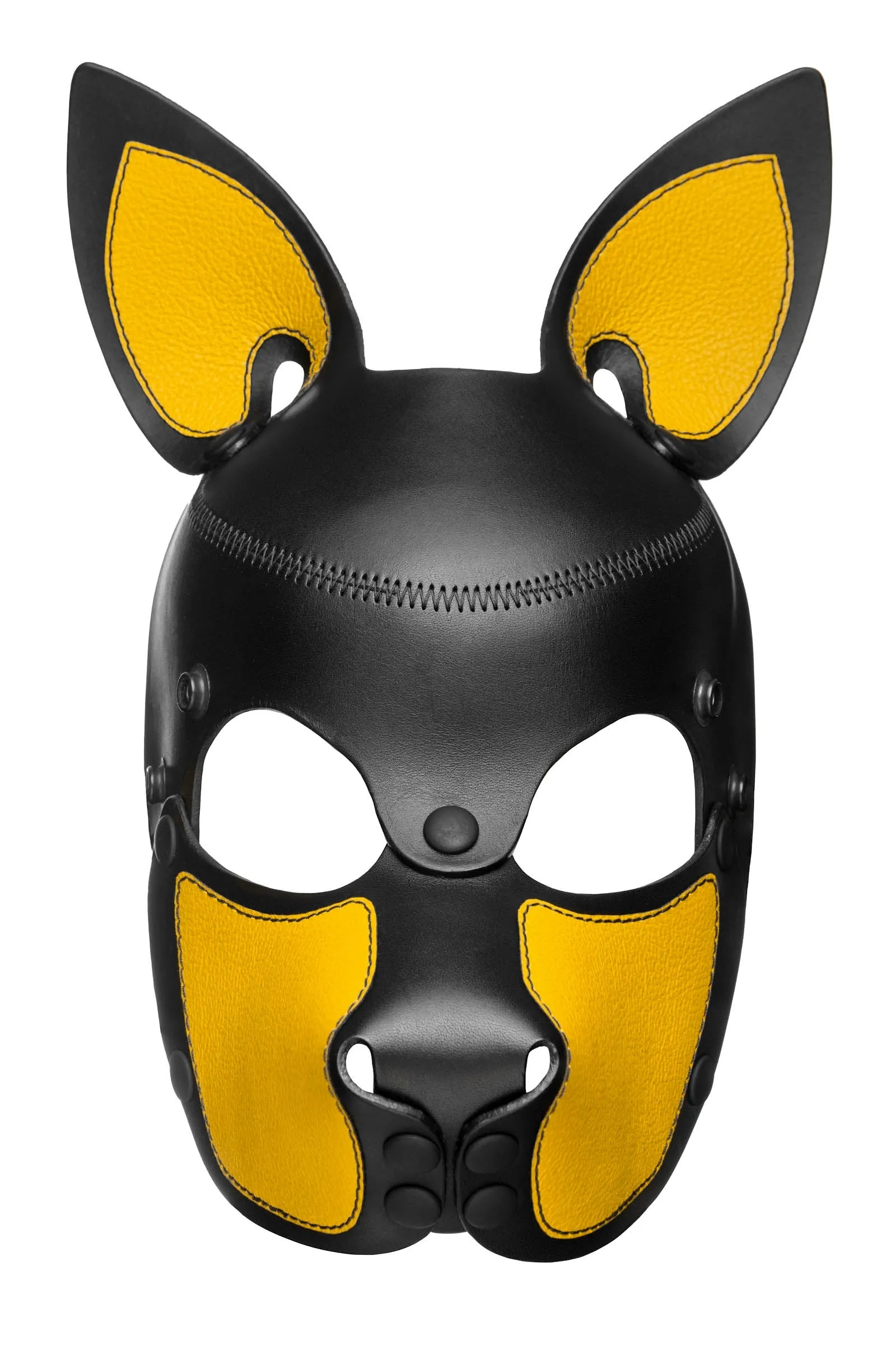 HEAD HARNESS PUP "SCOUT" - Colour