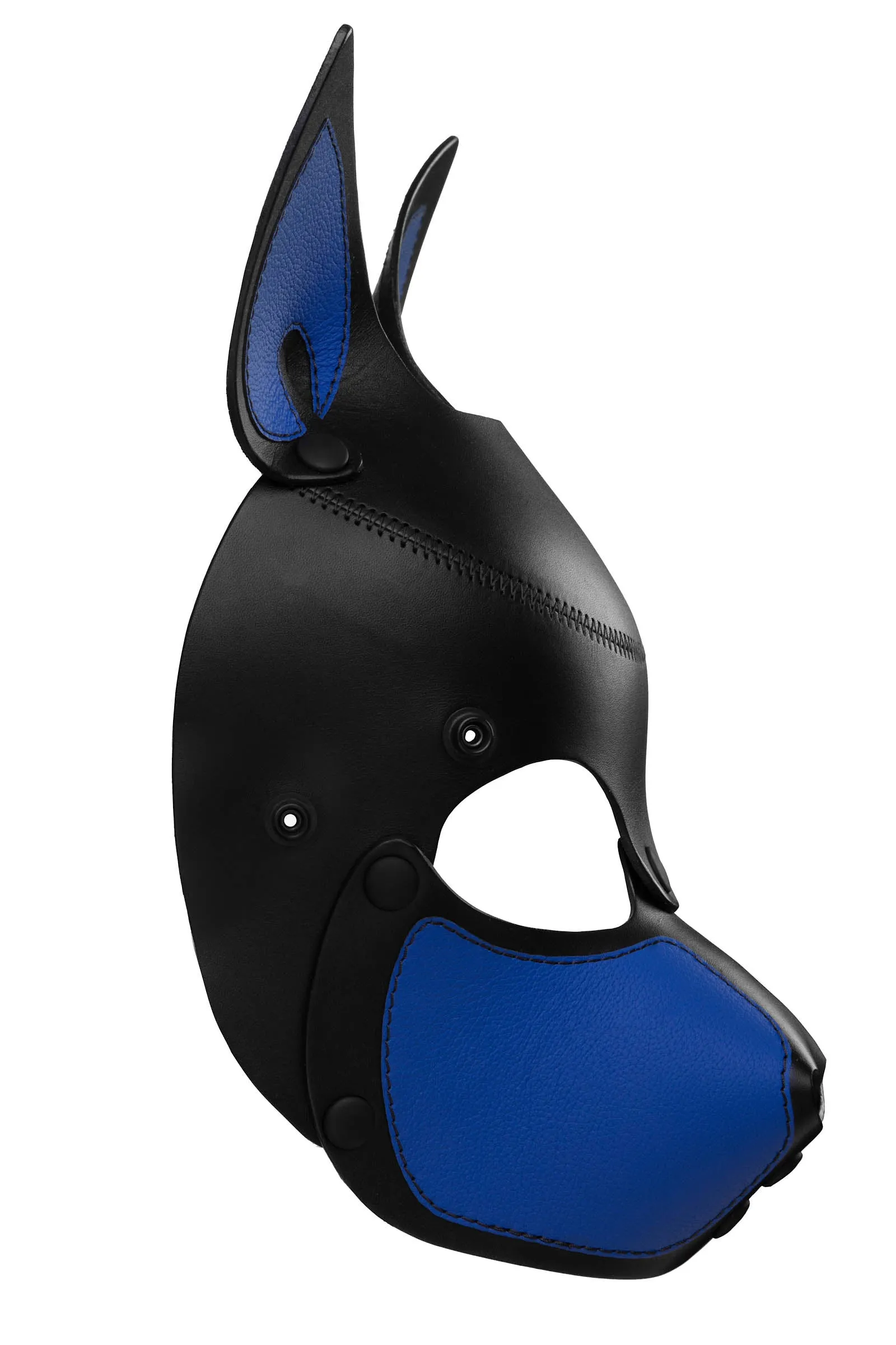 HEAD HARNESS PUP "SCOUT" - Colour