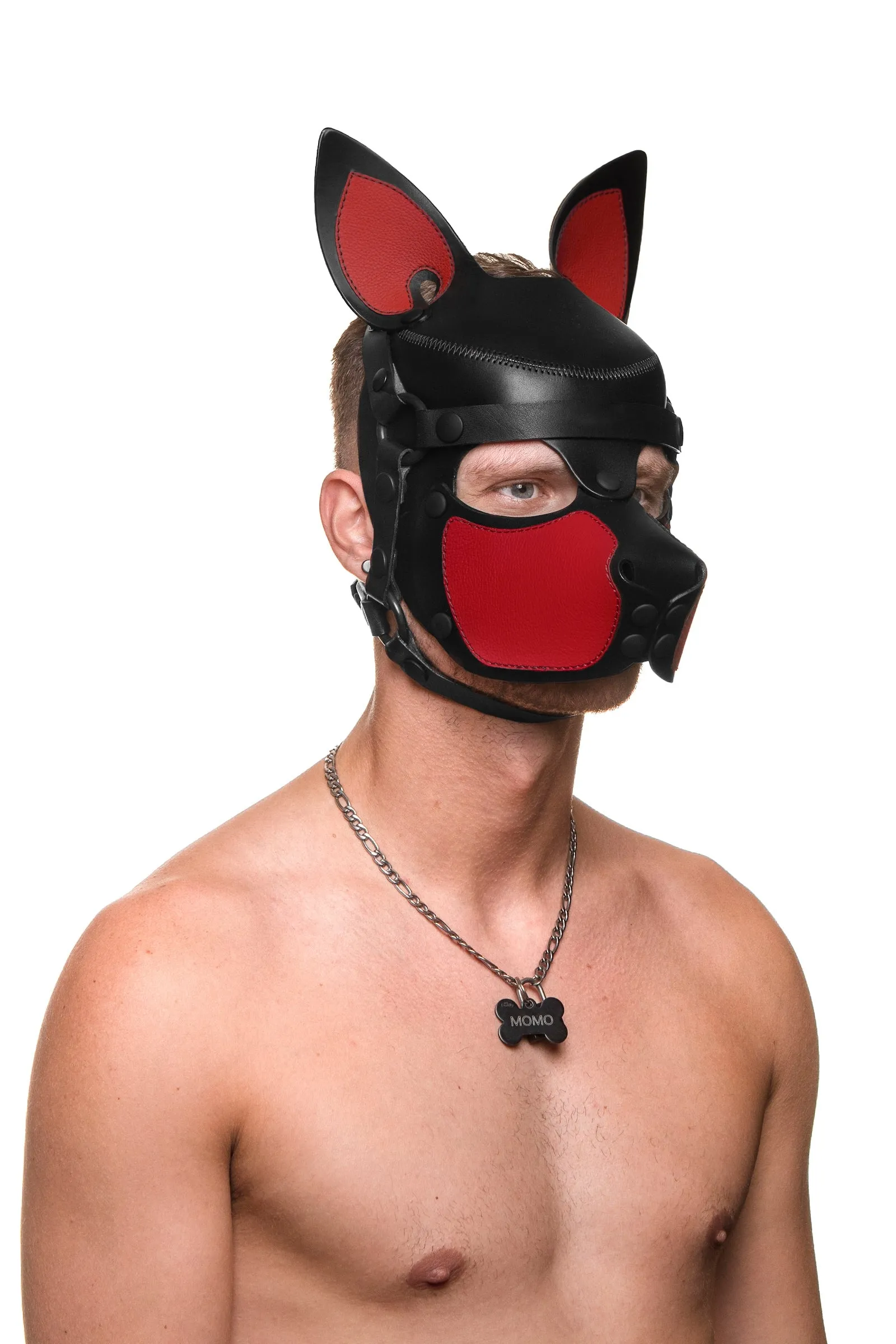 HEAD HARNESS PUP "SCOUT" - Colour