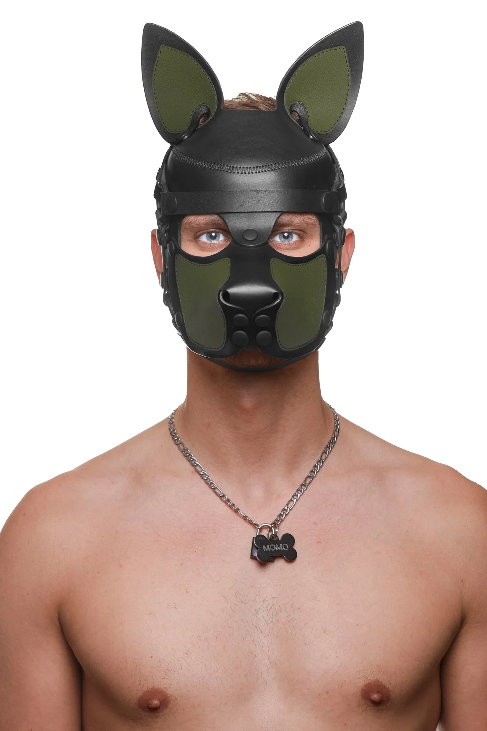 HEAD HARNESS PUP "SCOUT" - Colour