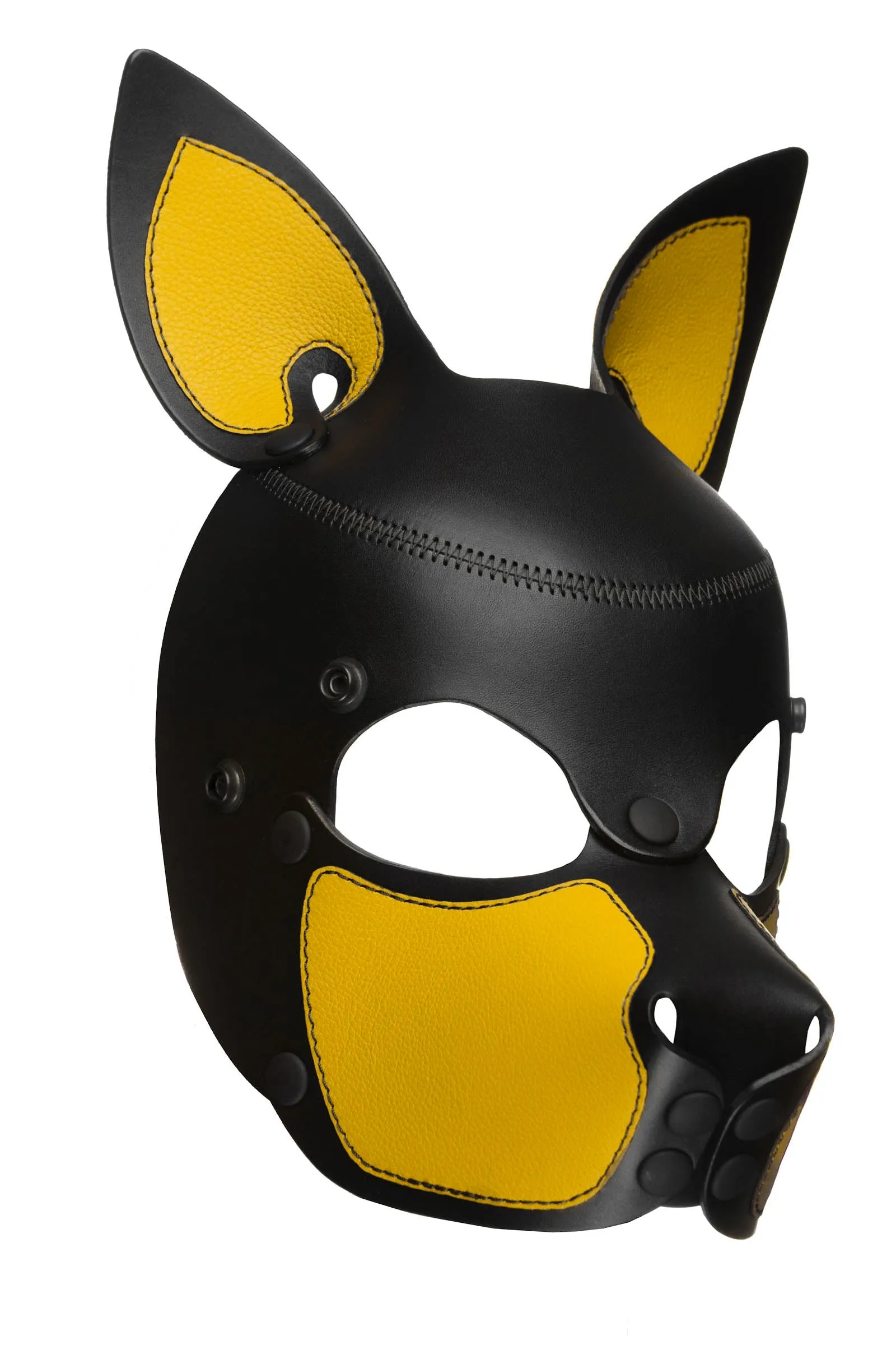 HEAD HARNESS PUP "SCOUT" - Colour
