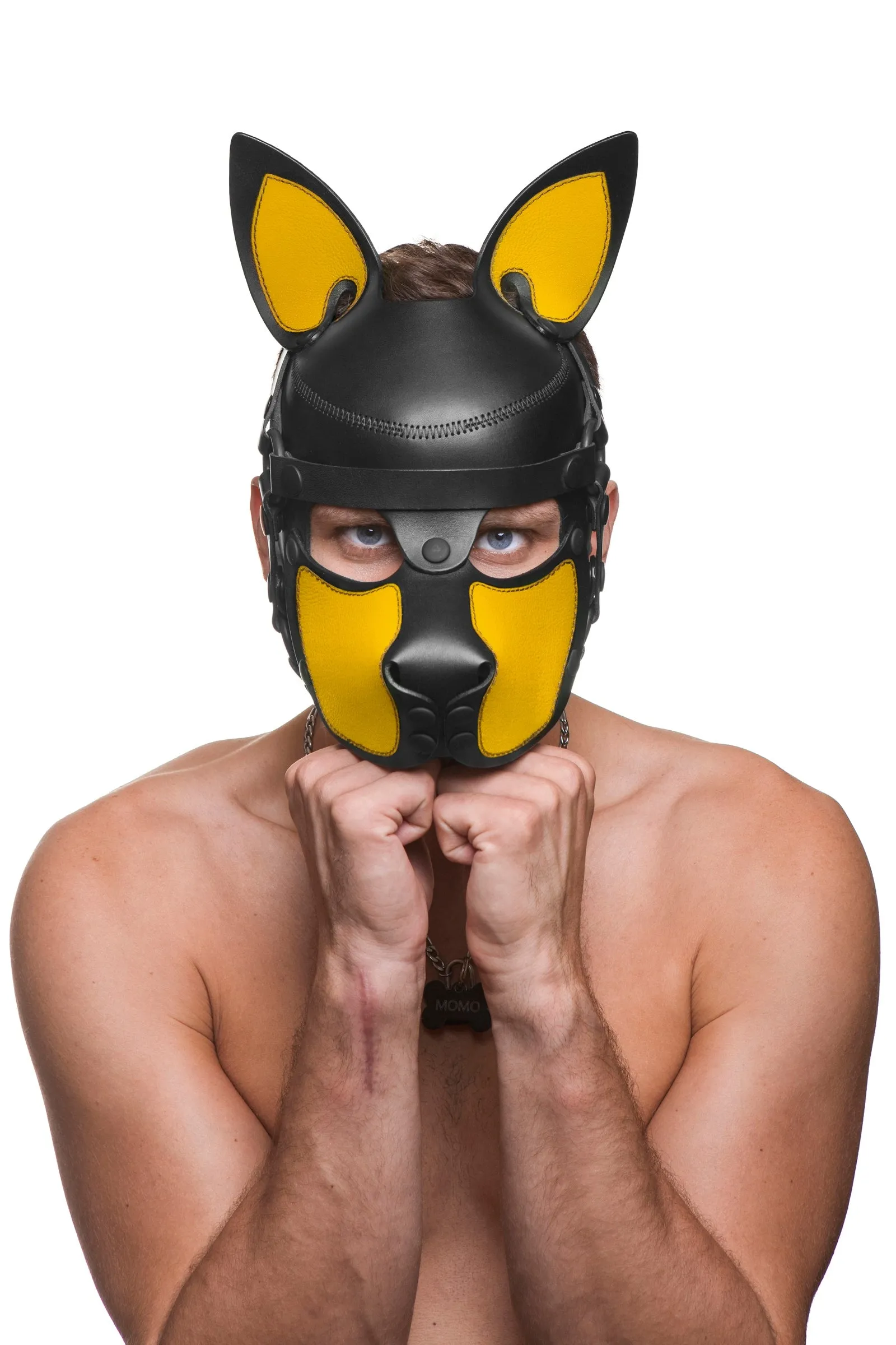 HEAD HARNESS PUP "SCOUT" - Colour