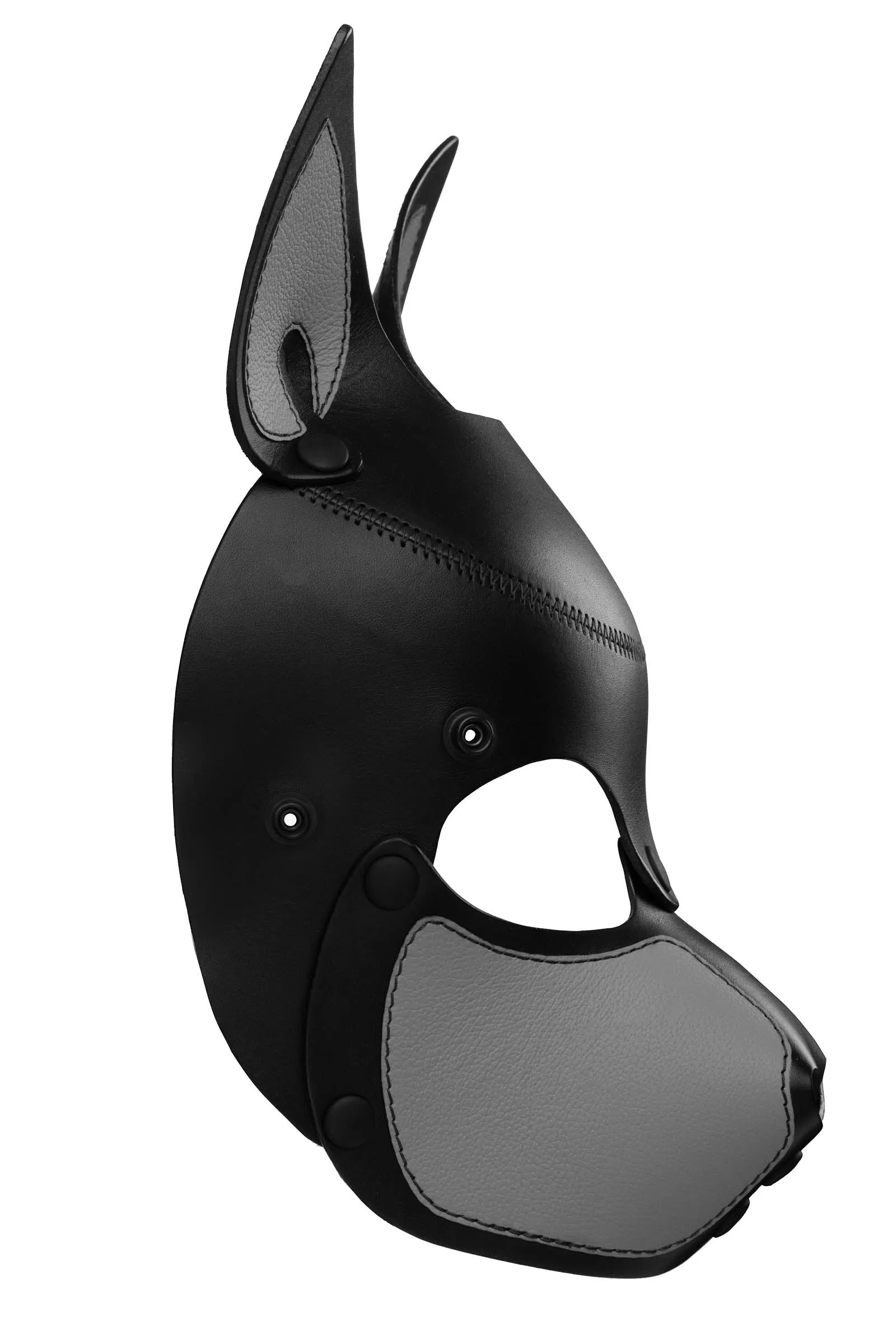 HEAD HARNESS PUP "SCOUT" - Colour