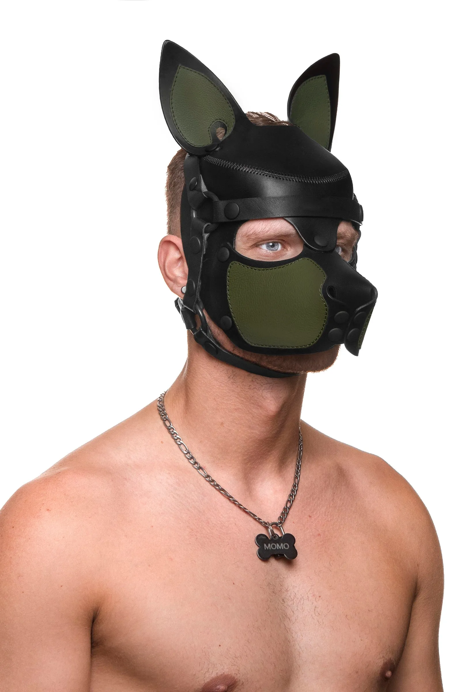 HEAD HARNESS PUP "SCOUT" - Colour