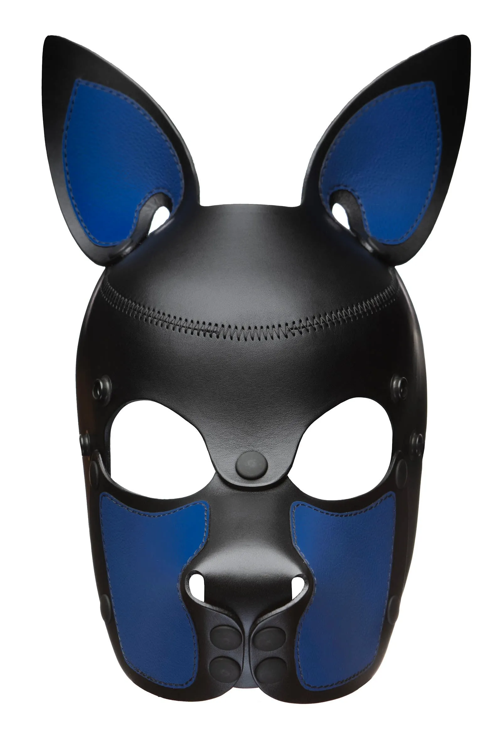 HEAD HARNESS PUP "SCOUT" - Colour