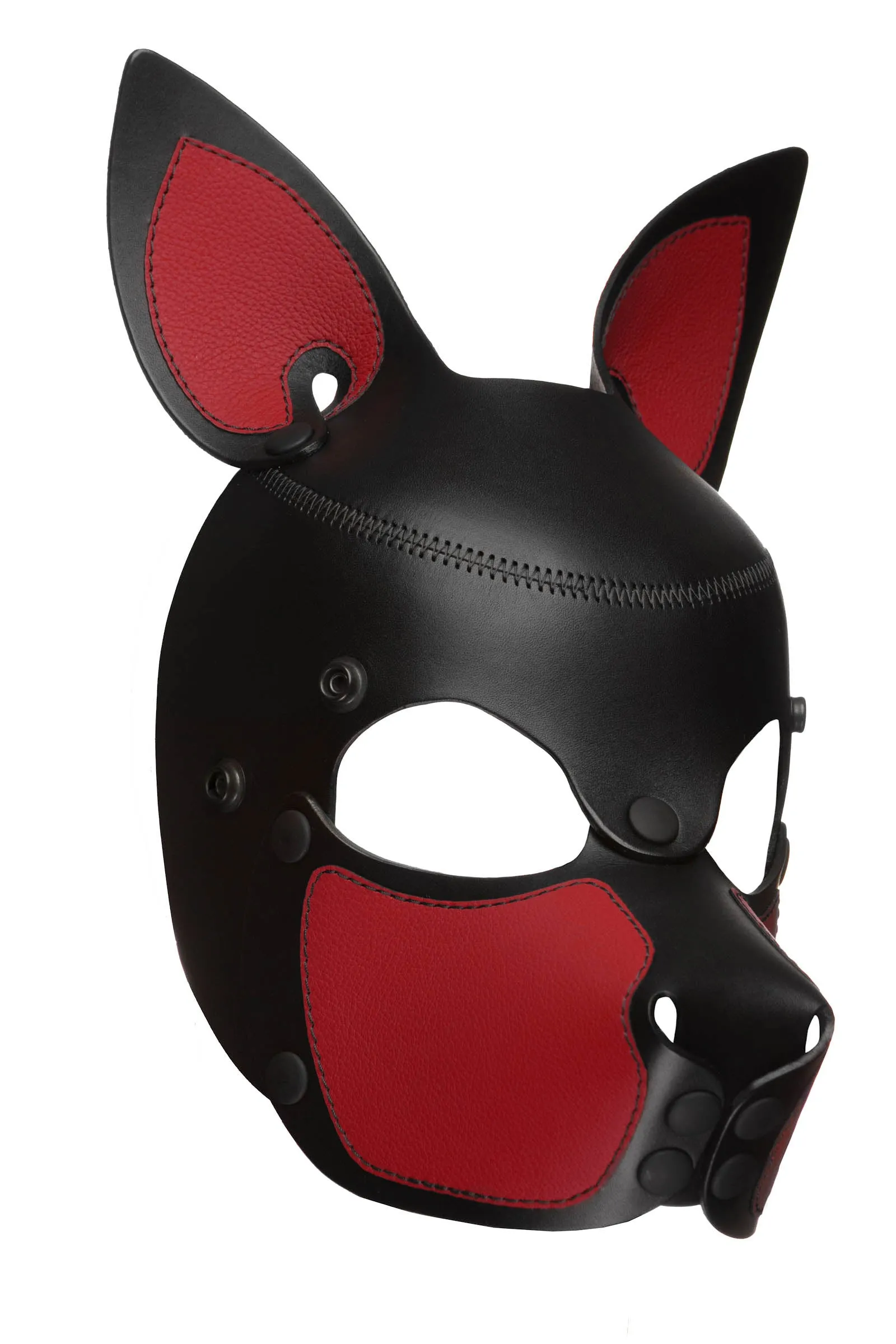 HEAD HARNESS PUP "SCOUT" - Colour