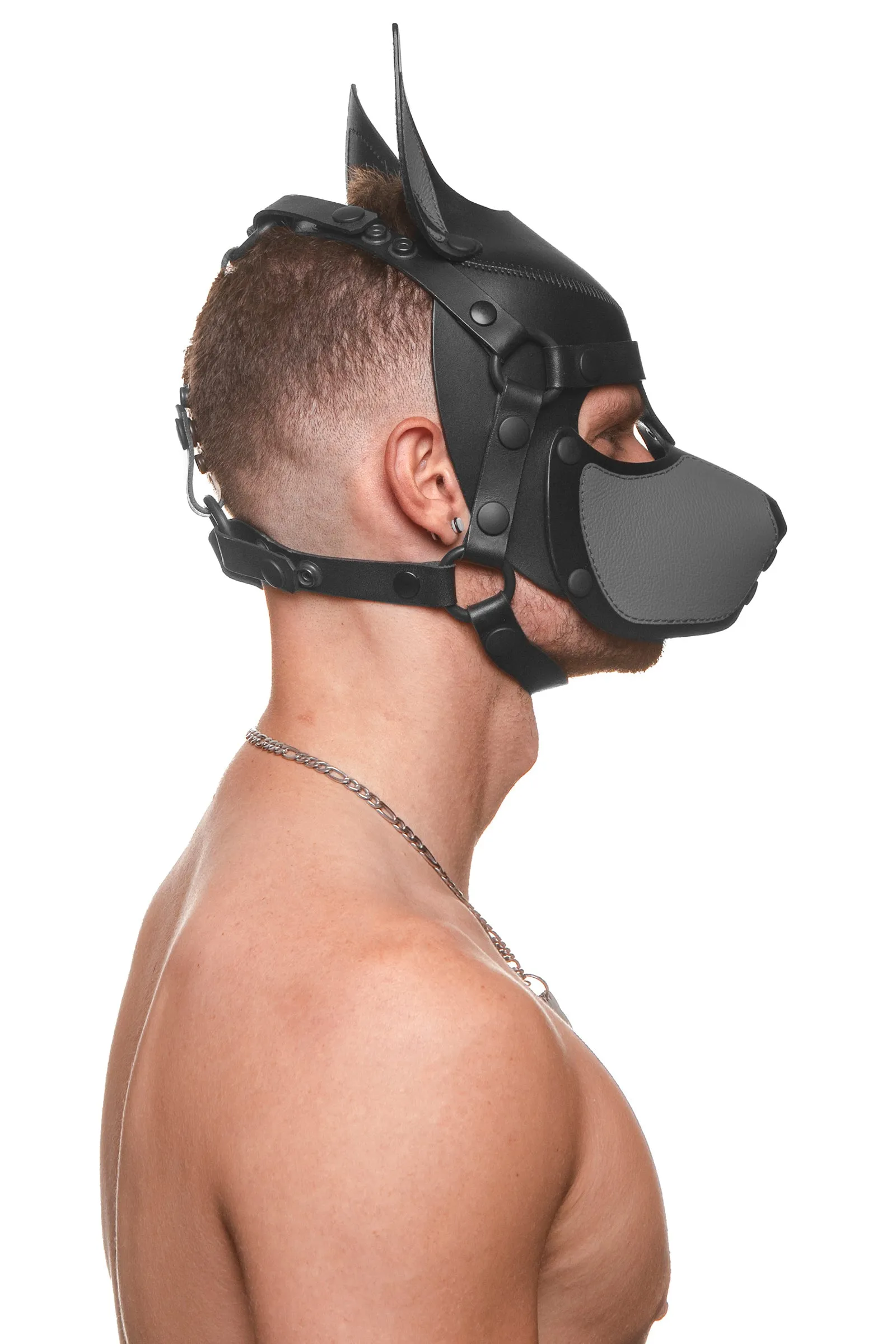HEAD HARNESS PUP "SCOUT" - Colour