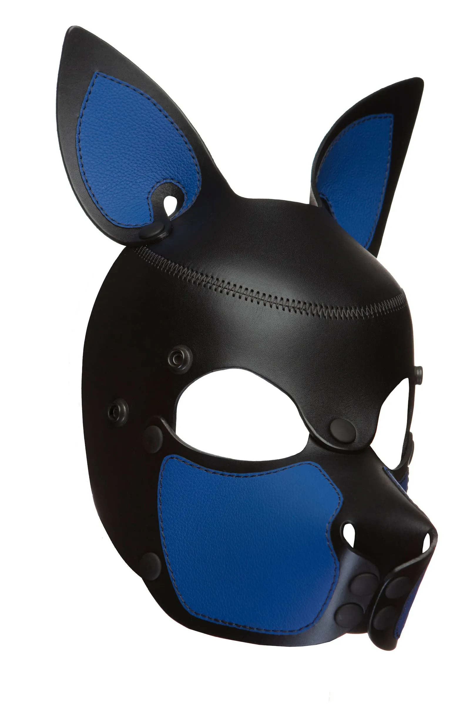 HEAD HARNESS PUP "SCOUT" - Colour