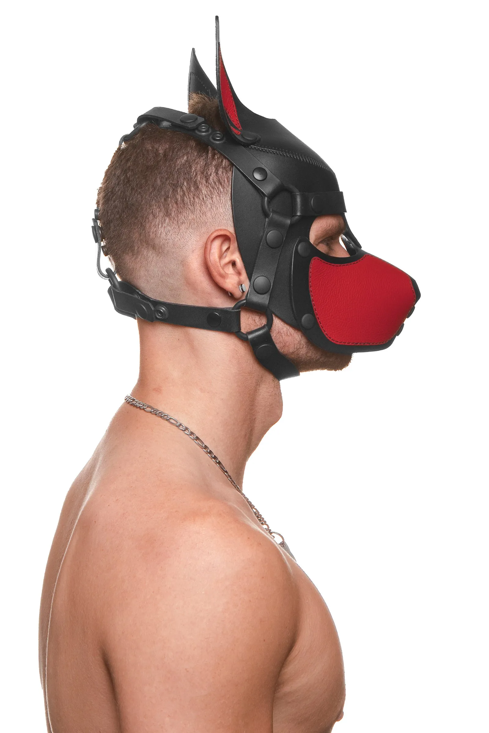 HEAD HARNESS PUP "SCOUT" - Colour