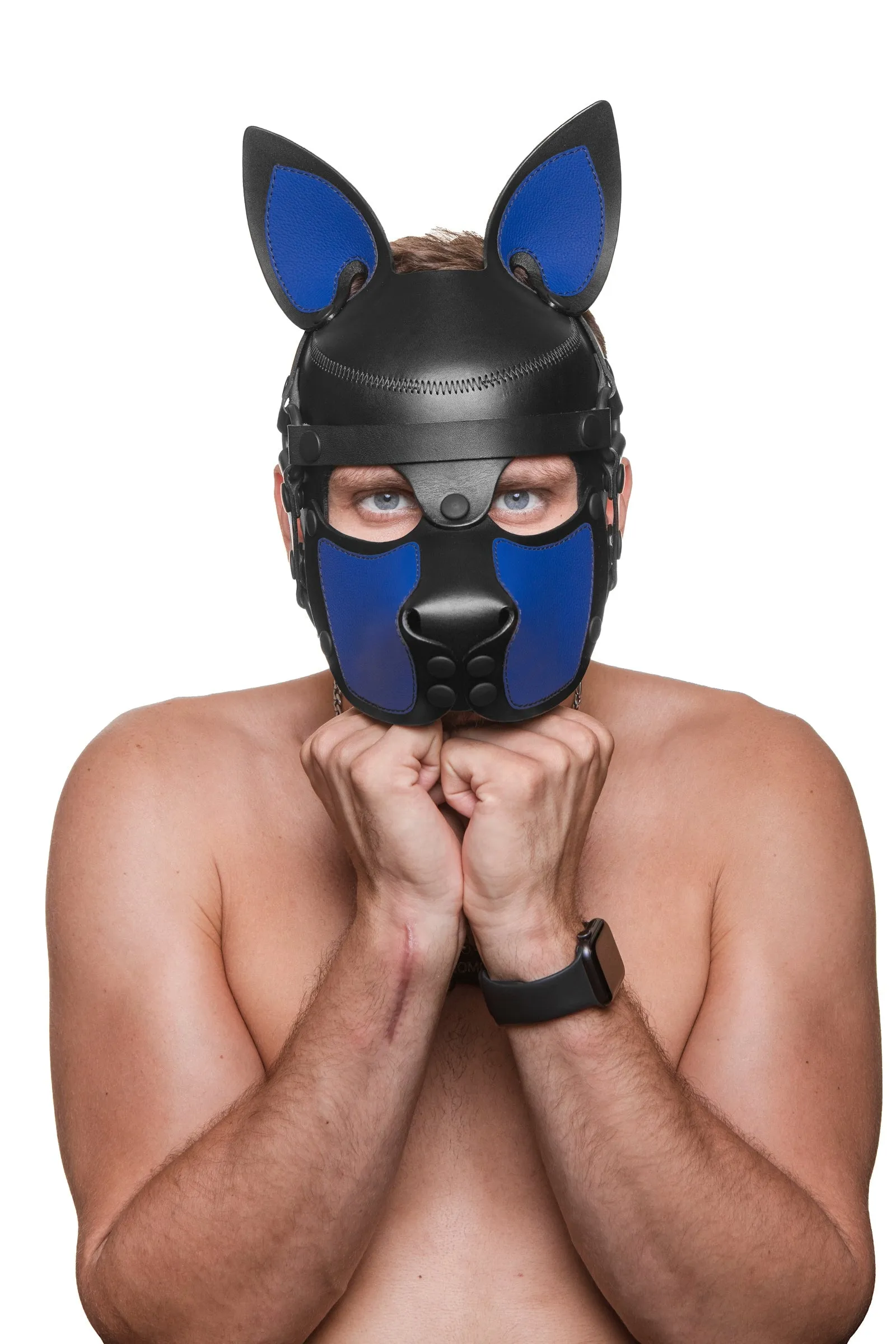 HEAD HARNESS PUP "SCOUT" - Colour