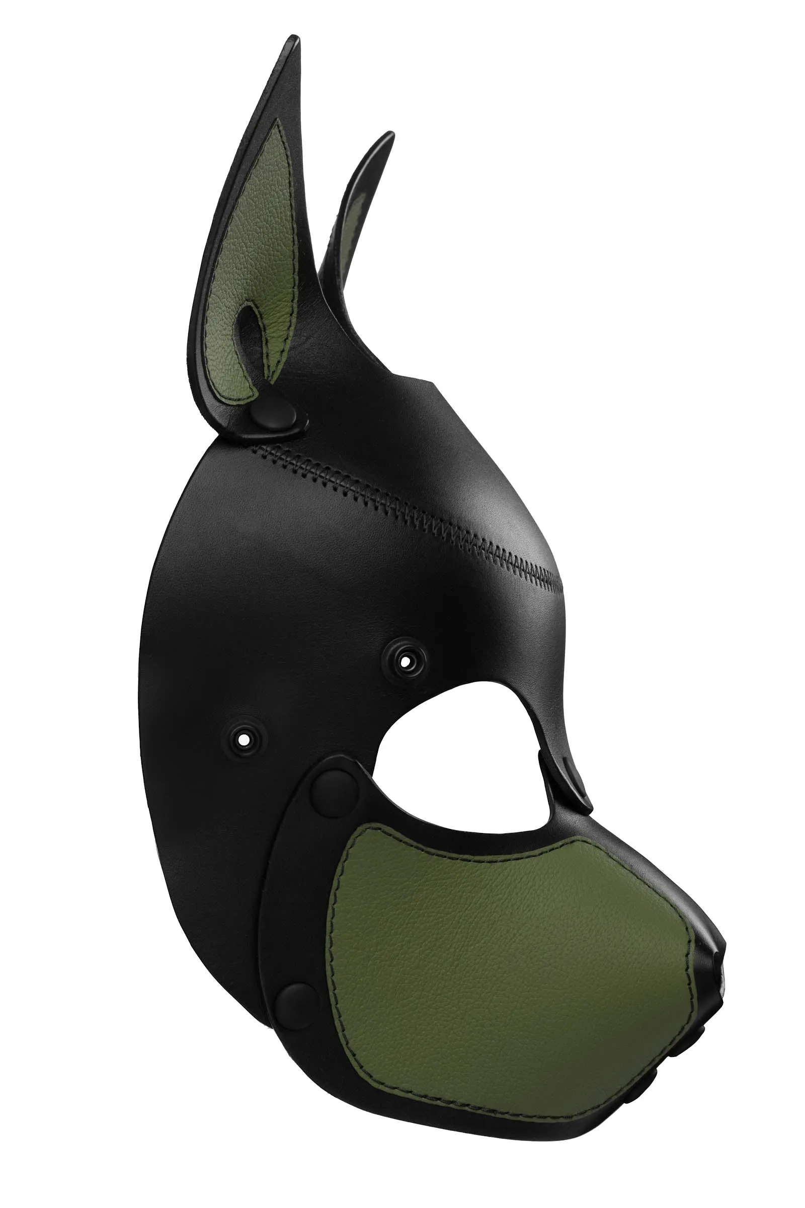 HEAD HARNESS PUP "SCOUT" - Colour