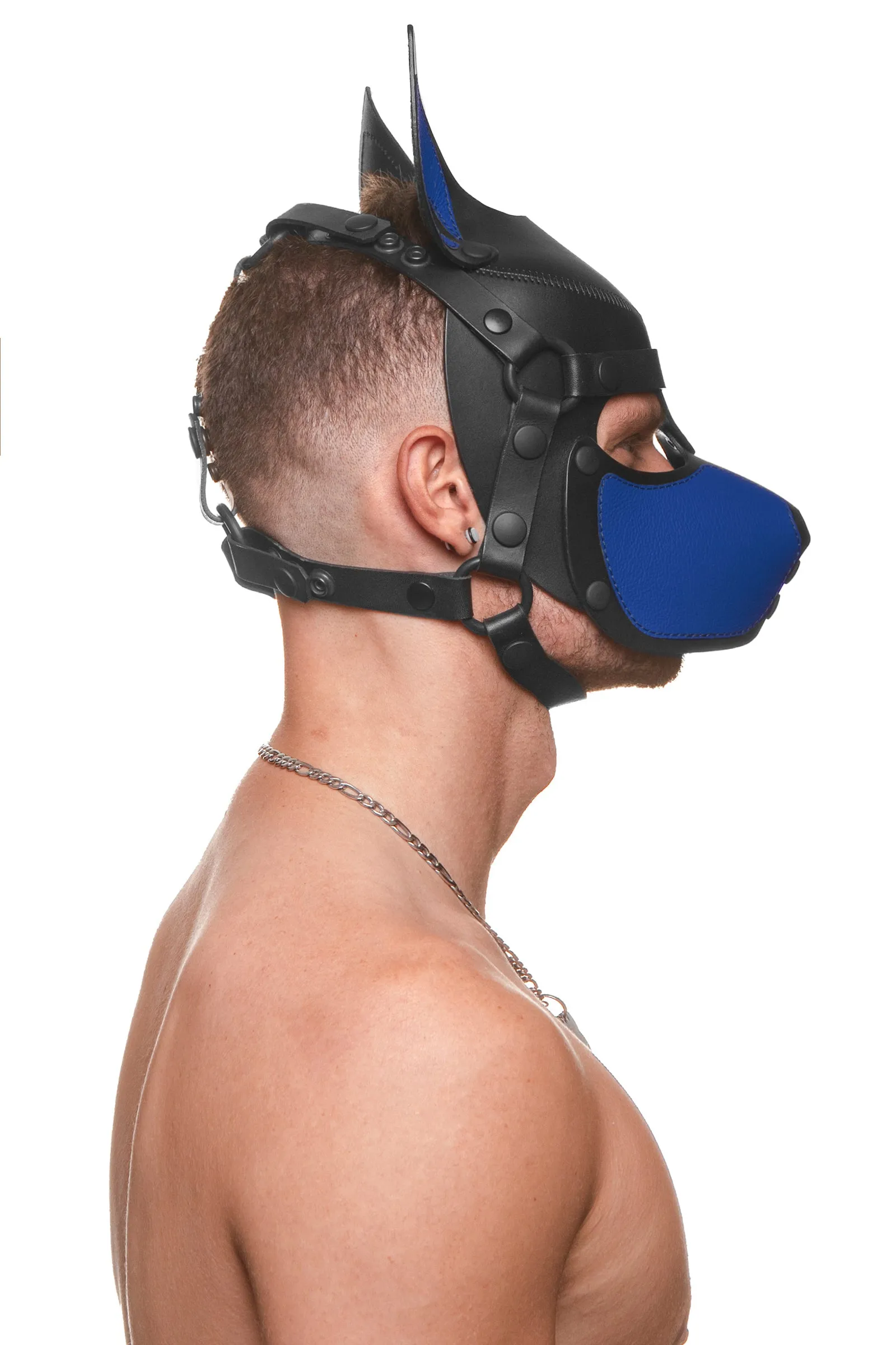 HEAD HARNESS PUP "SCOUT" - Colour