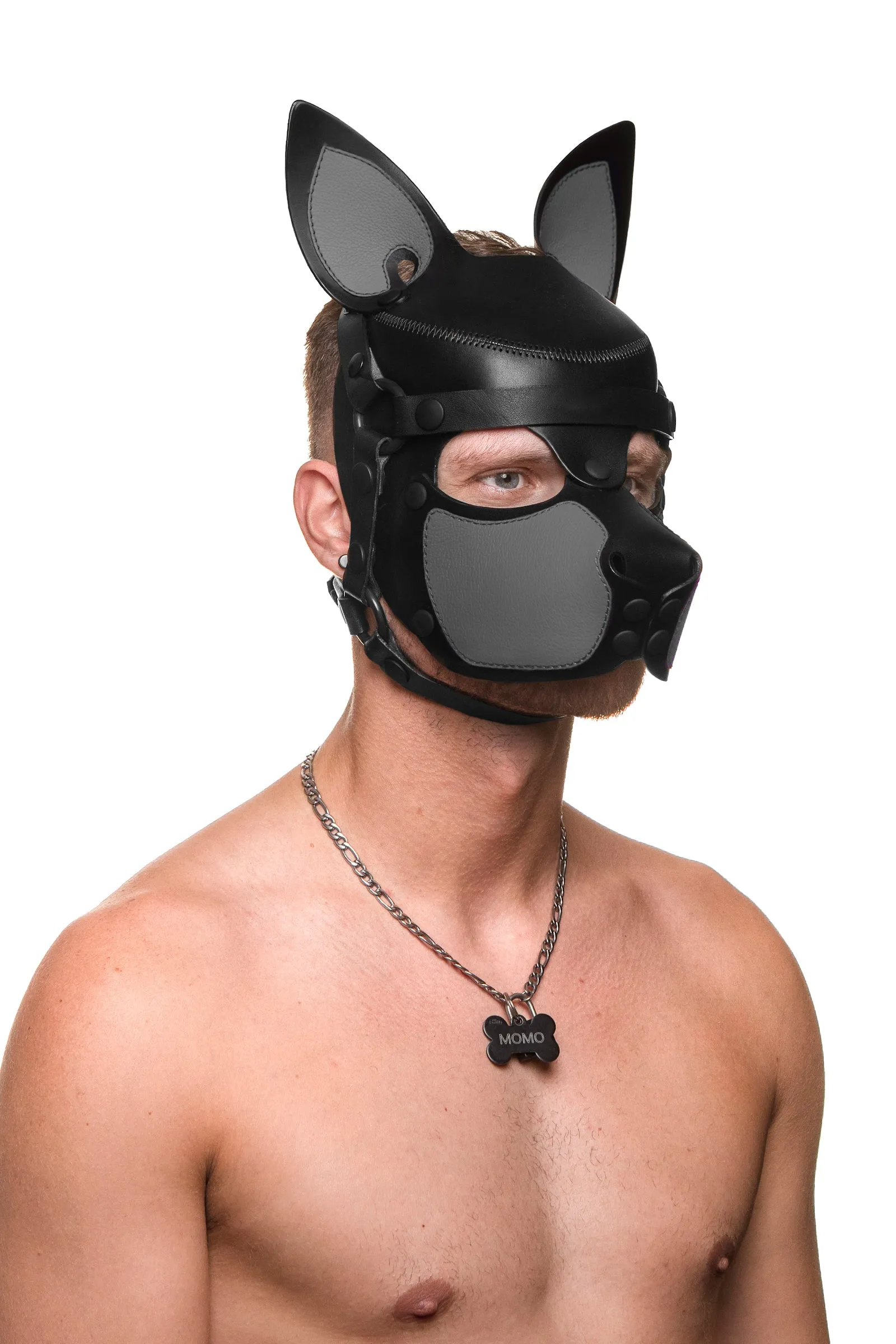 HEAD HARNESS PUP "SCOUT" - Colour