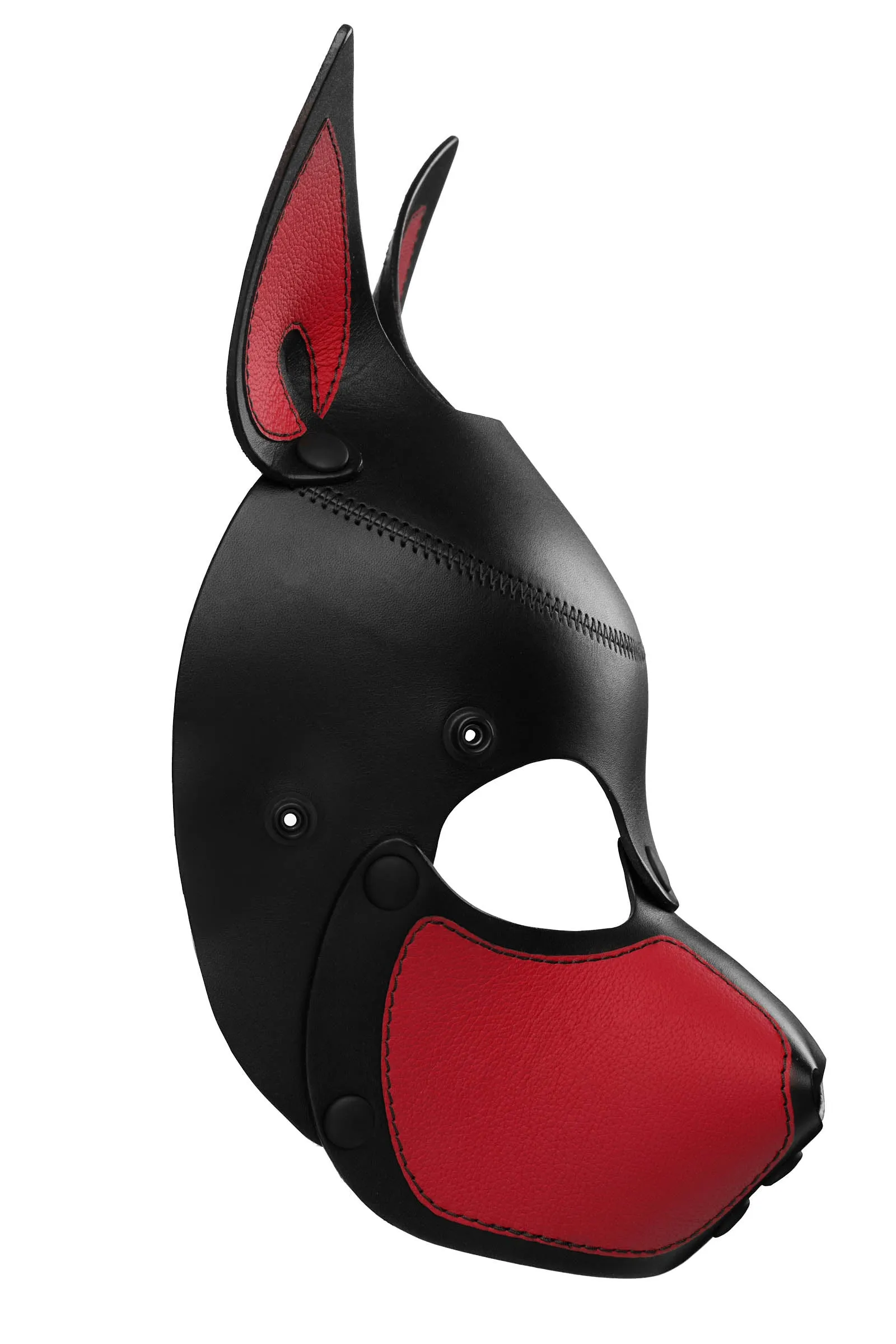 HEAD HARNESS PUP "SCOUT" - Colour