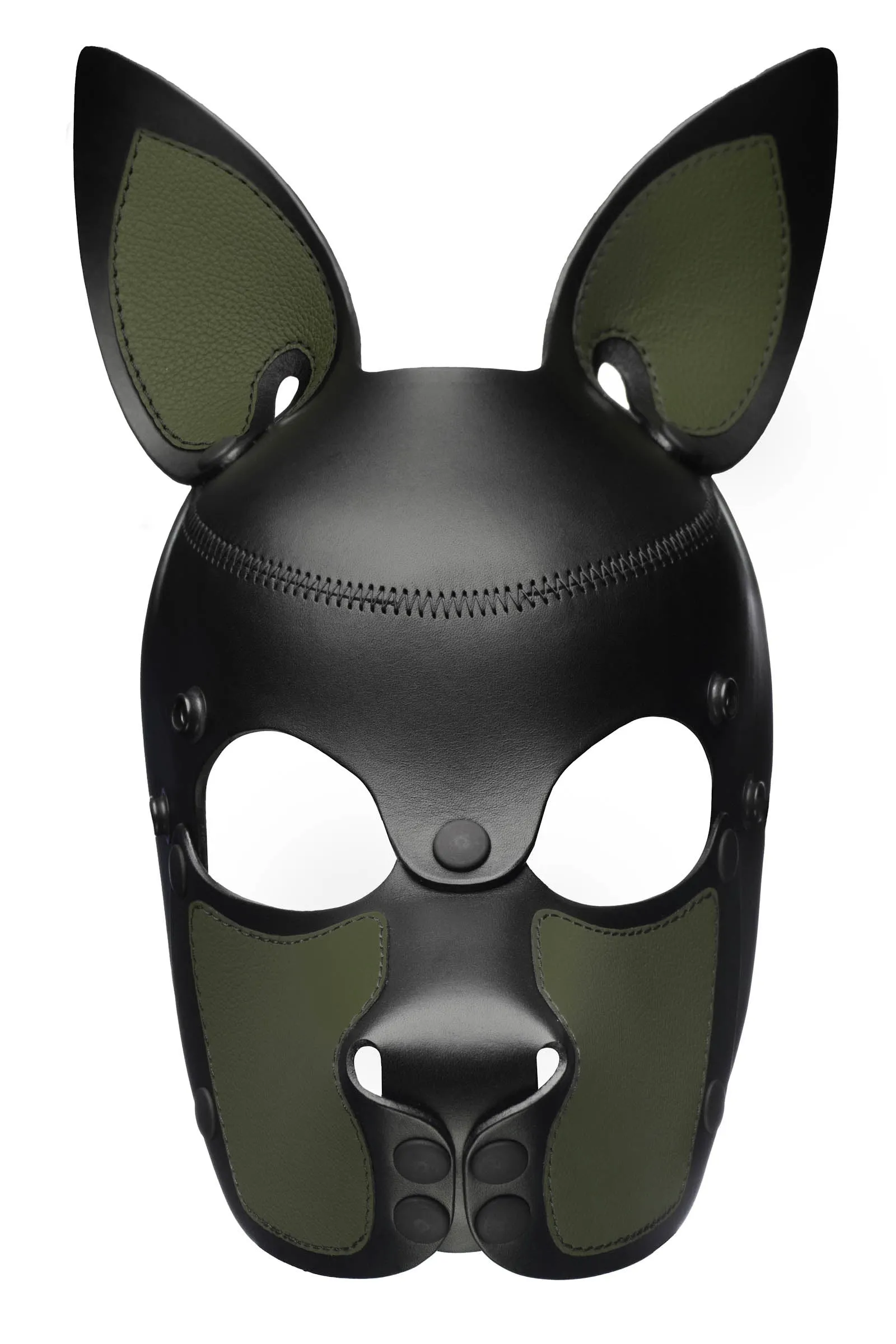 HEAD HARNESS PUP "SCOUT" - Colour