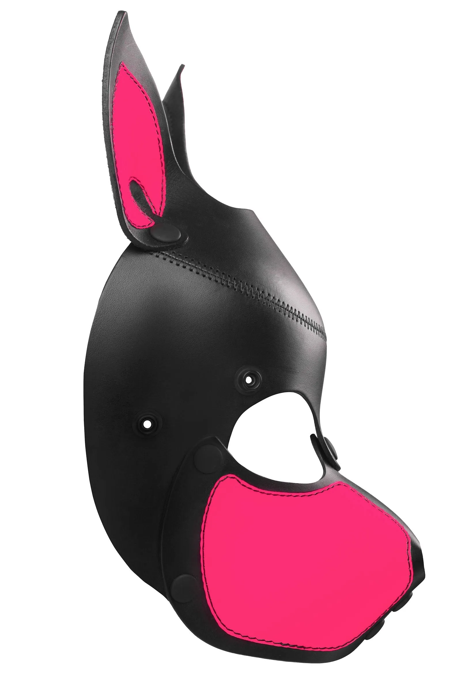 HEAD HARNESS PUP "SCOUT" - Fluro Colours