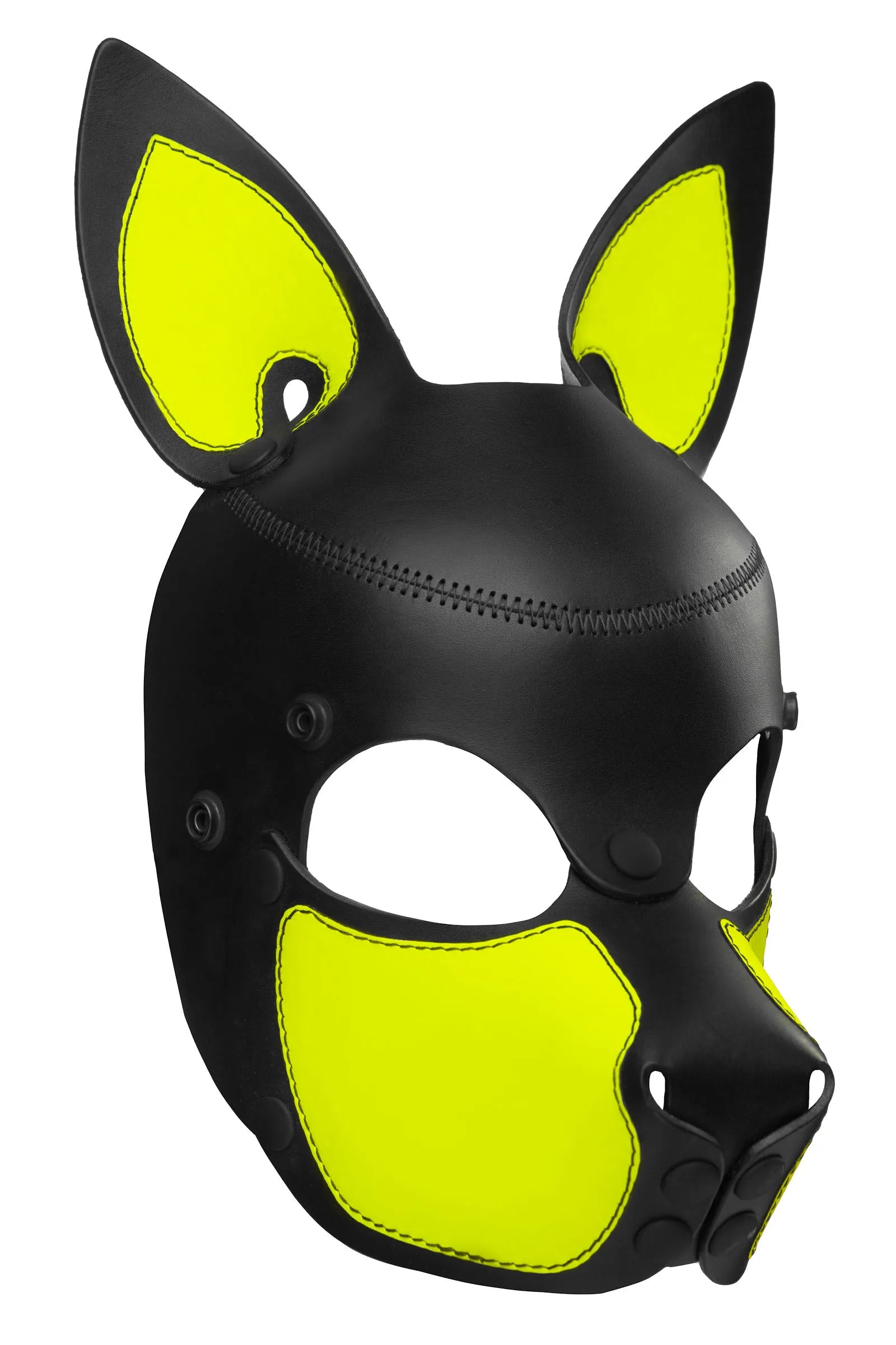 HEAD HARNESS PUP "SCOUT" - Fluro Colours