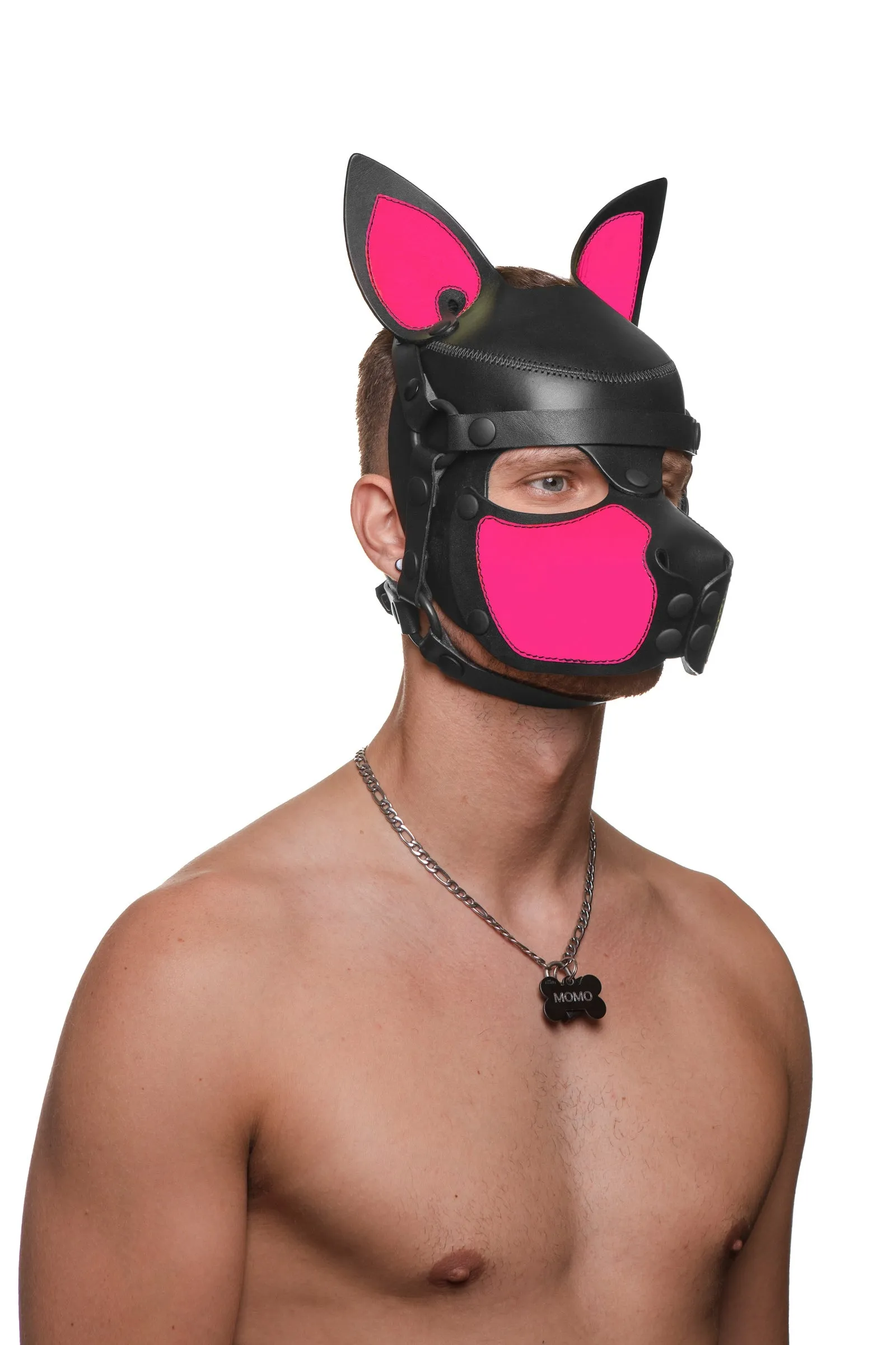 HEAD HARNESS PUP "SCOUT" - Fluro Colours