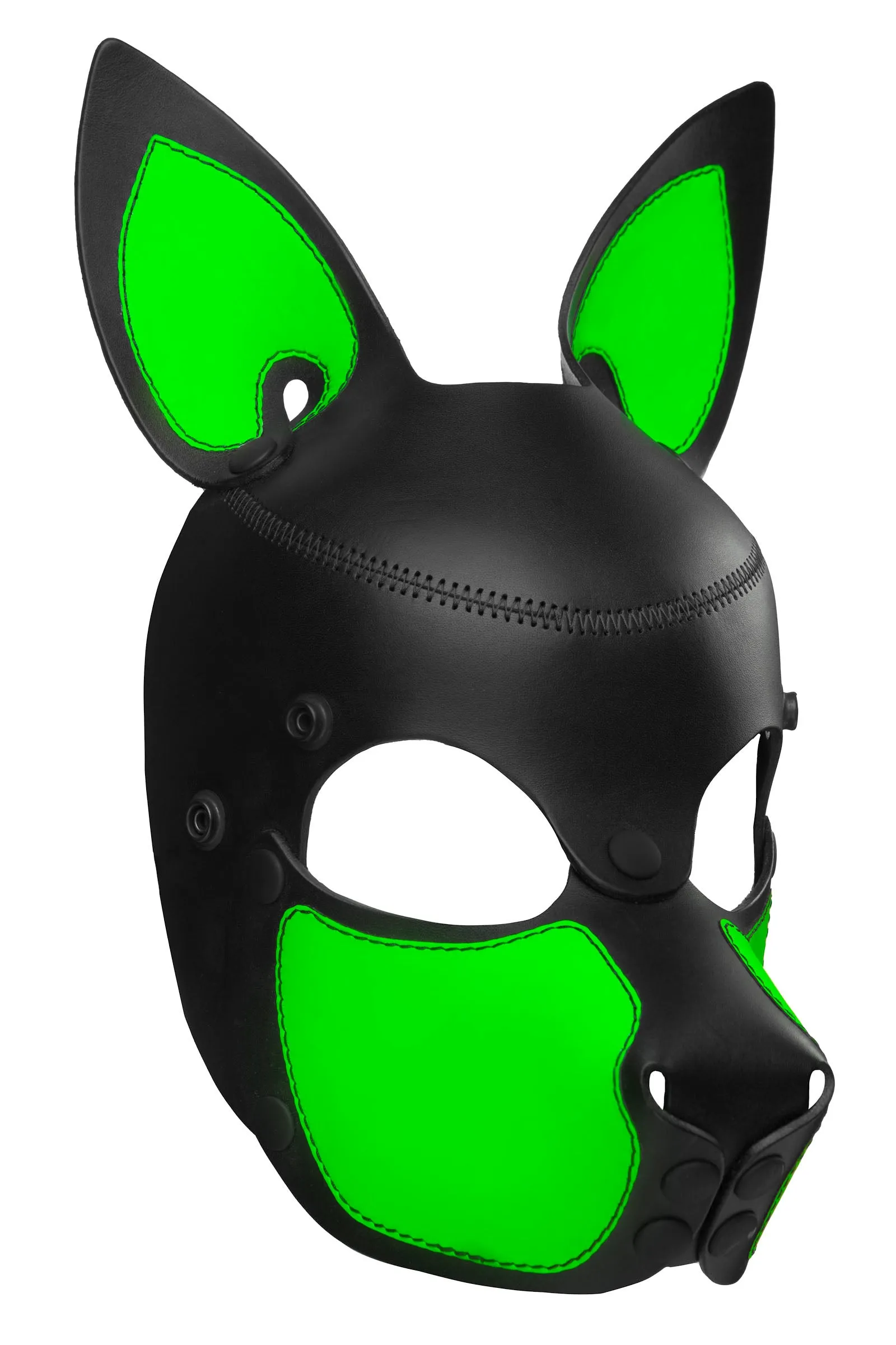 HEAD HARNESS PUP "SCOUT" - Fluro Colours